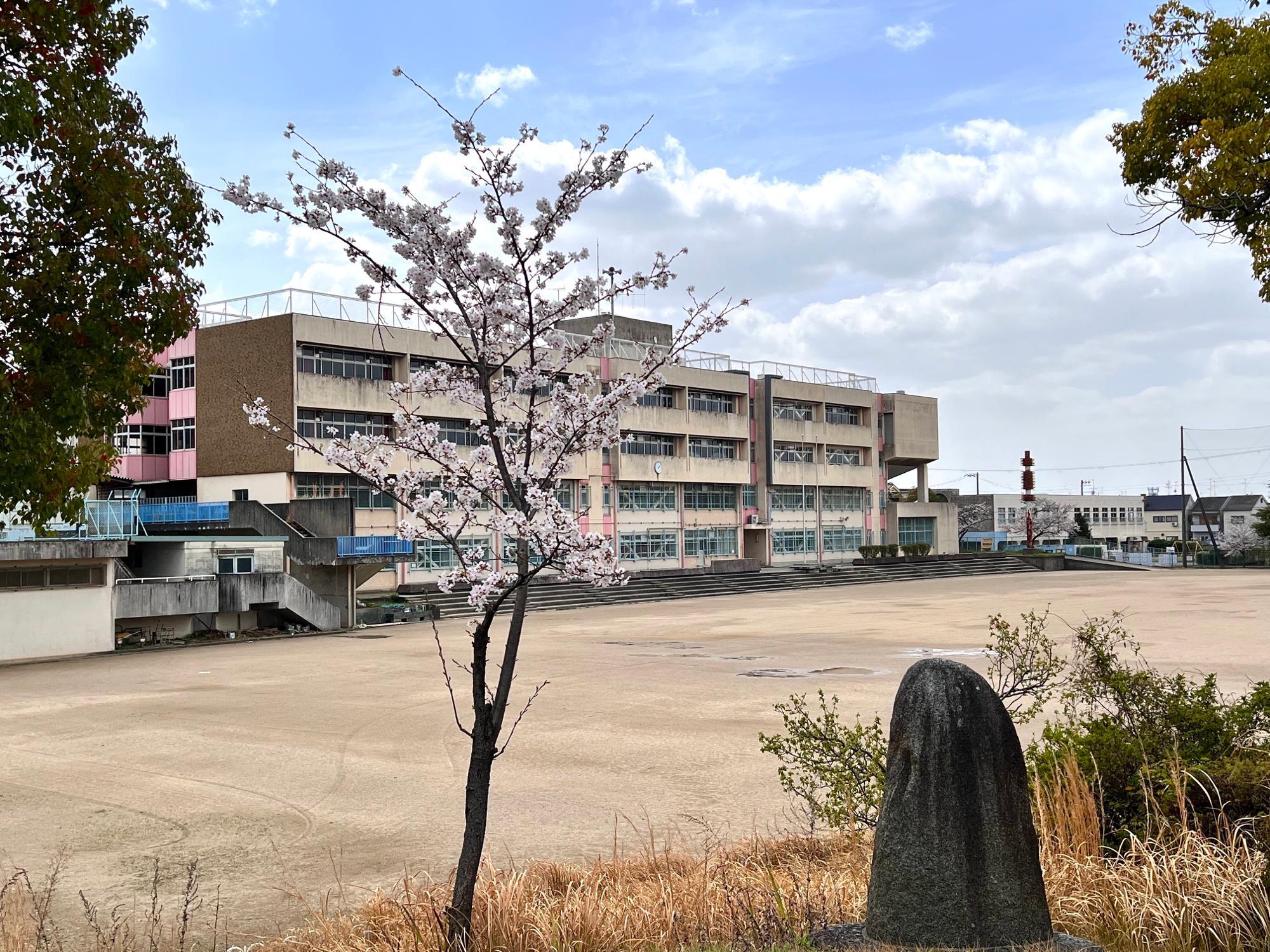 敷地の北東側から見た校舎とグランド