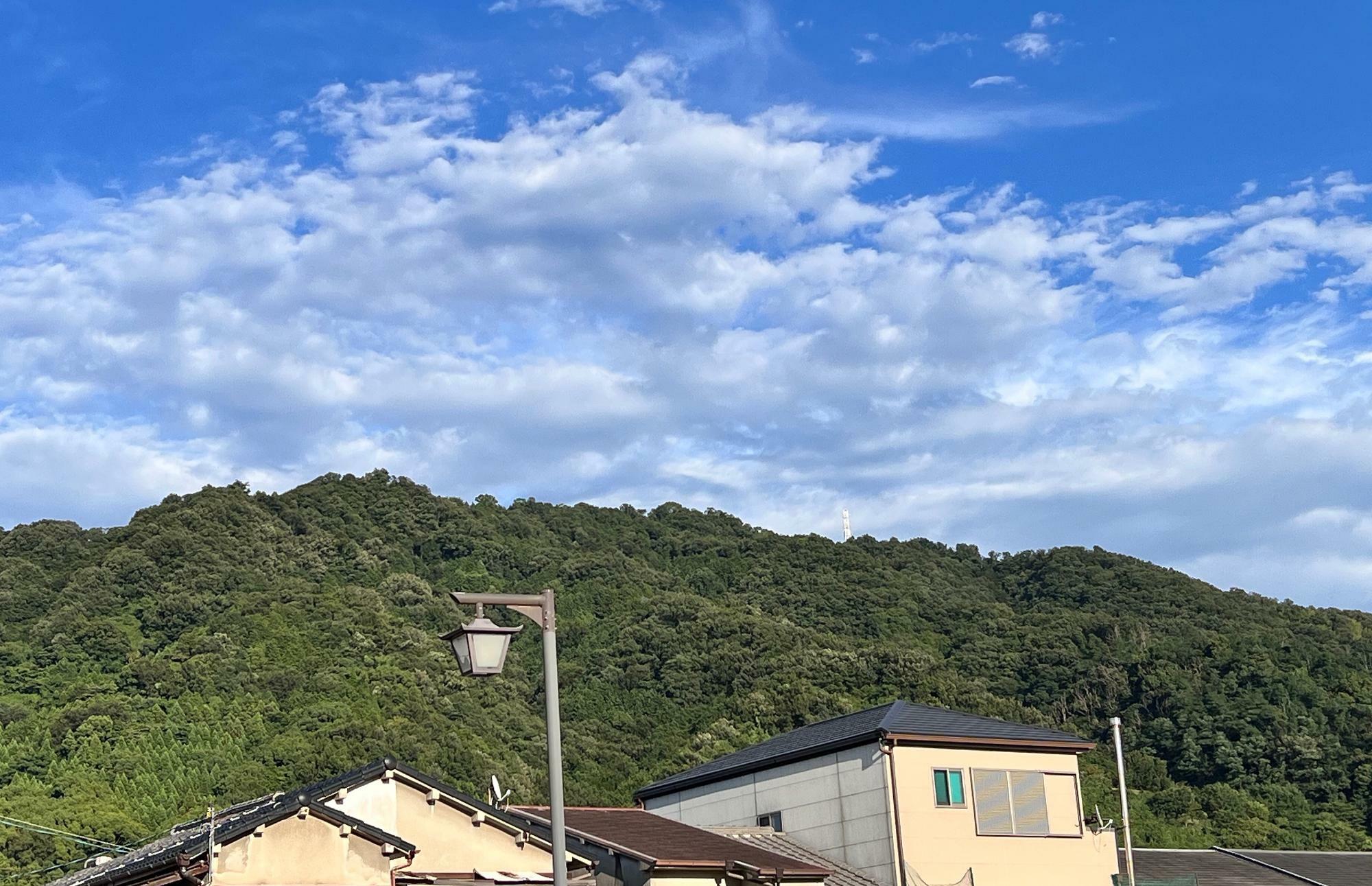 四條畷神社の参道から眺める飯盛山。高さは314m