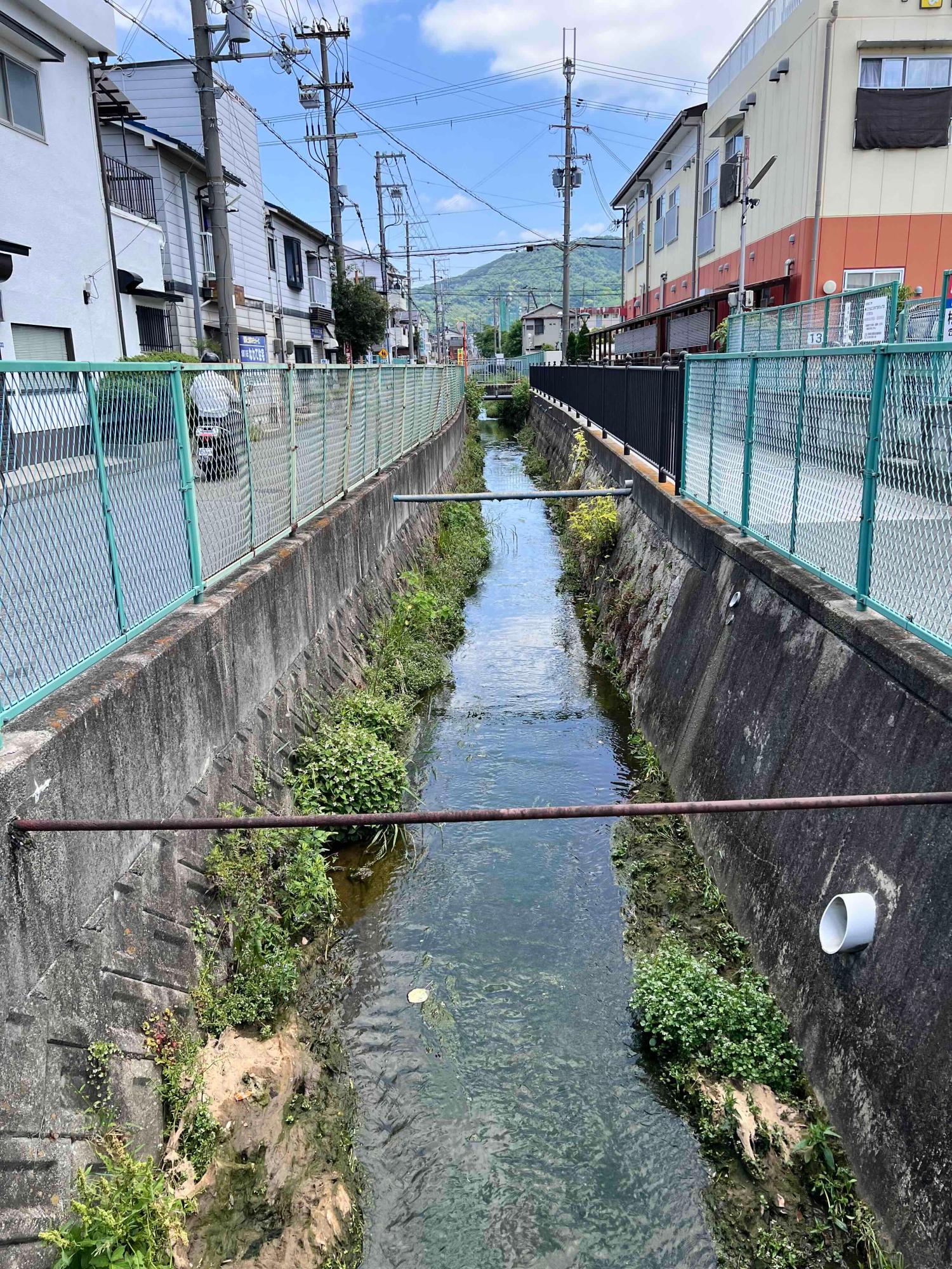 江瀬美町の南を流れる江蟬川