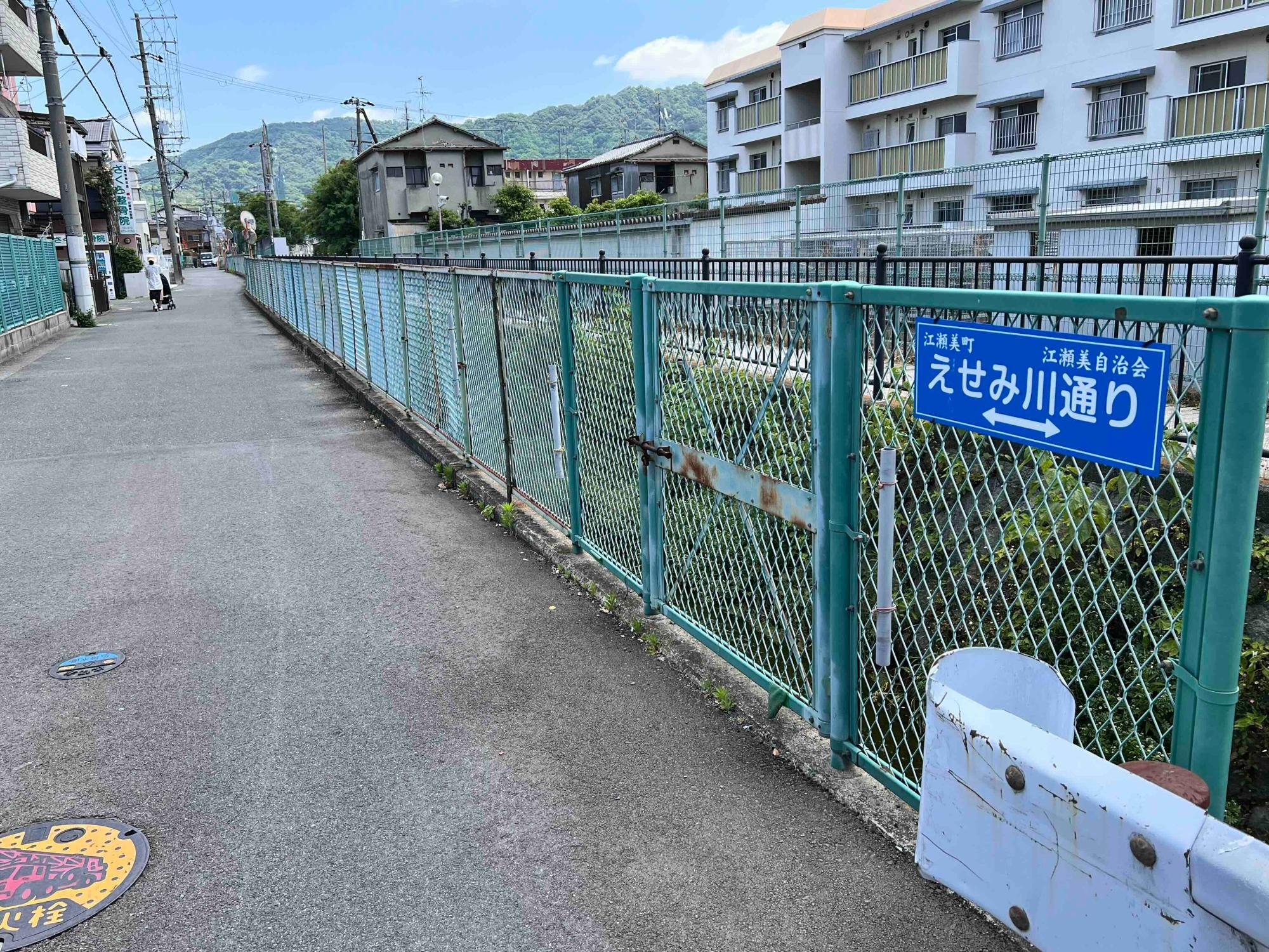 「えせみ川通り」は車がよく通り、歩行者にとって落ち着かない道路です