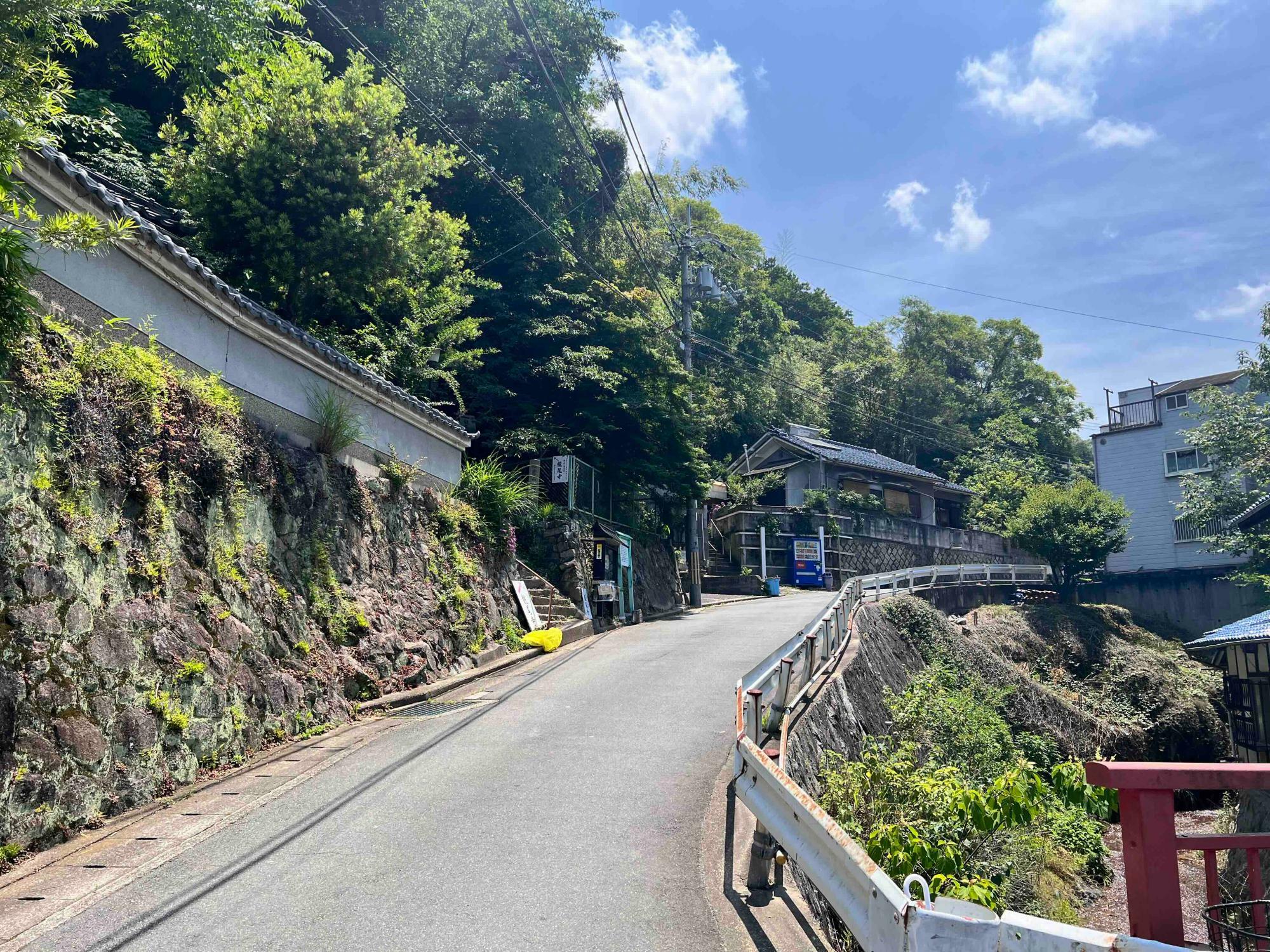 左側に龍尾寺の登り口が見えてきました