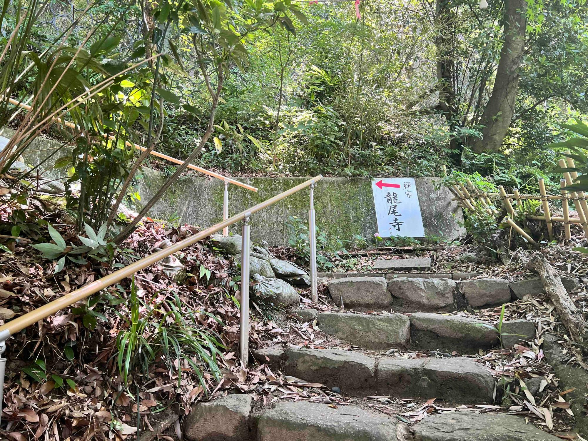 石段を登ります