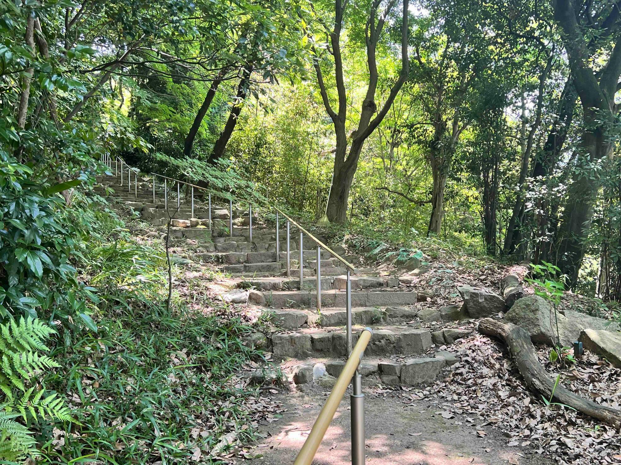 石段登りを再開