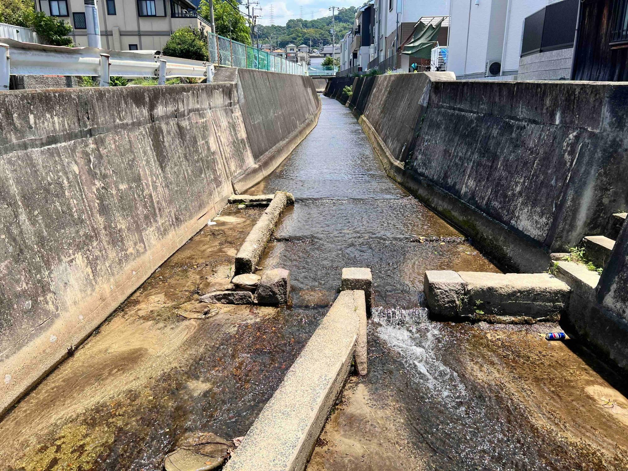 権現川を別の場所から撮影