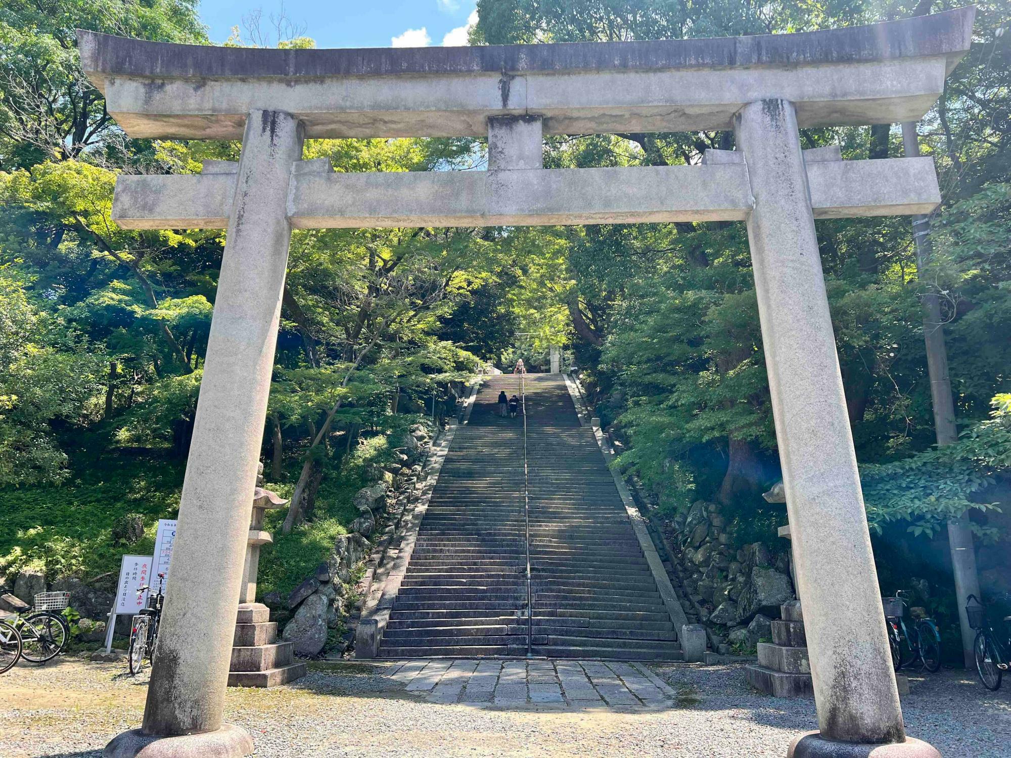 石段横の木々が強い日差しを遮ってくれています