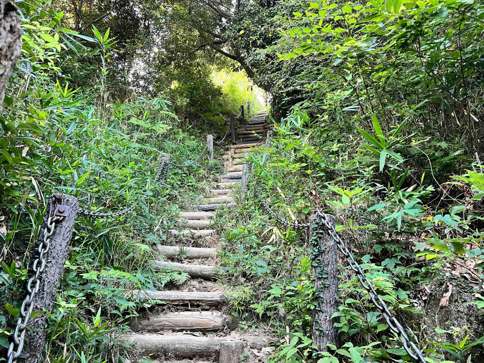 飯盛山の登山道は急な坂道の連続です