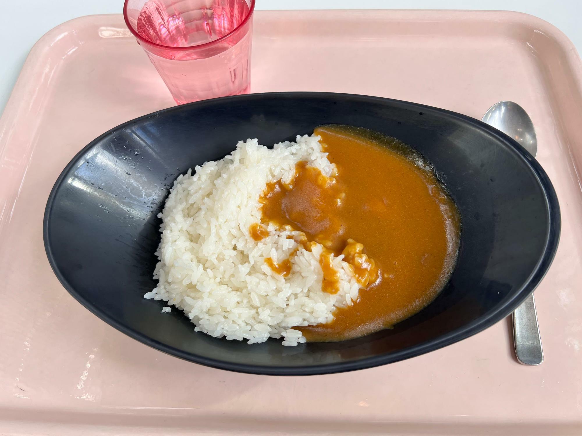 カレーライス（中）。おいしくいただきました