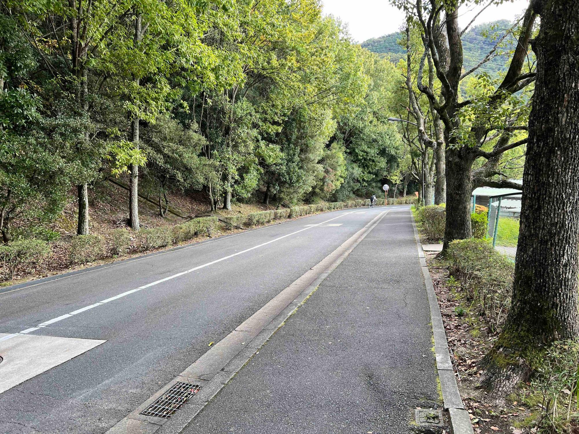 帰りはダイエットのため、市街地まで歩くことに