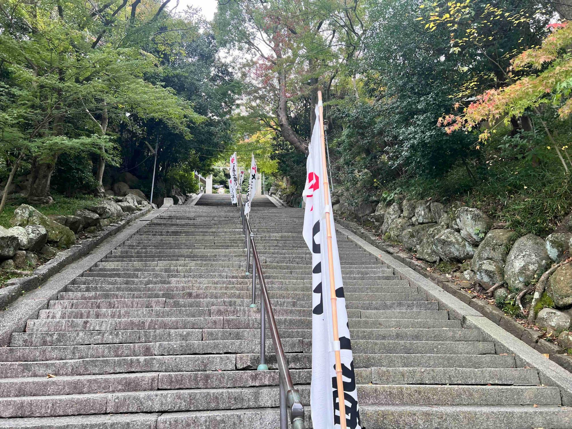 四條畷神社の石段。風はなく、おだやかな午前でした