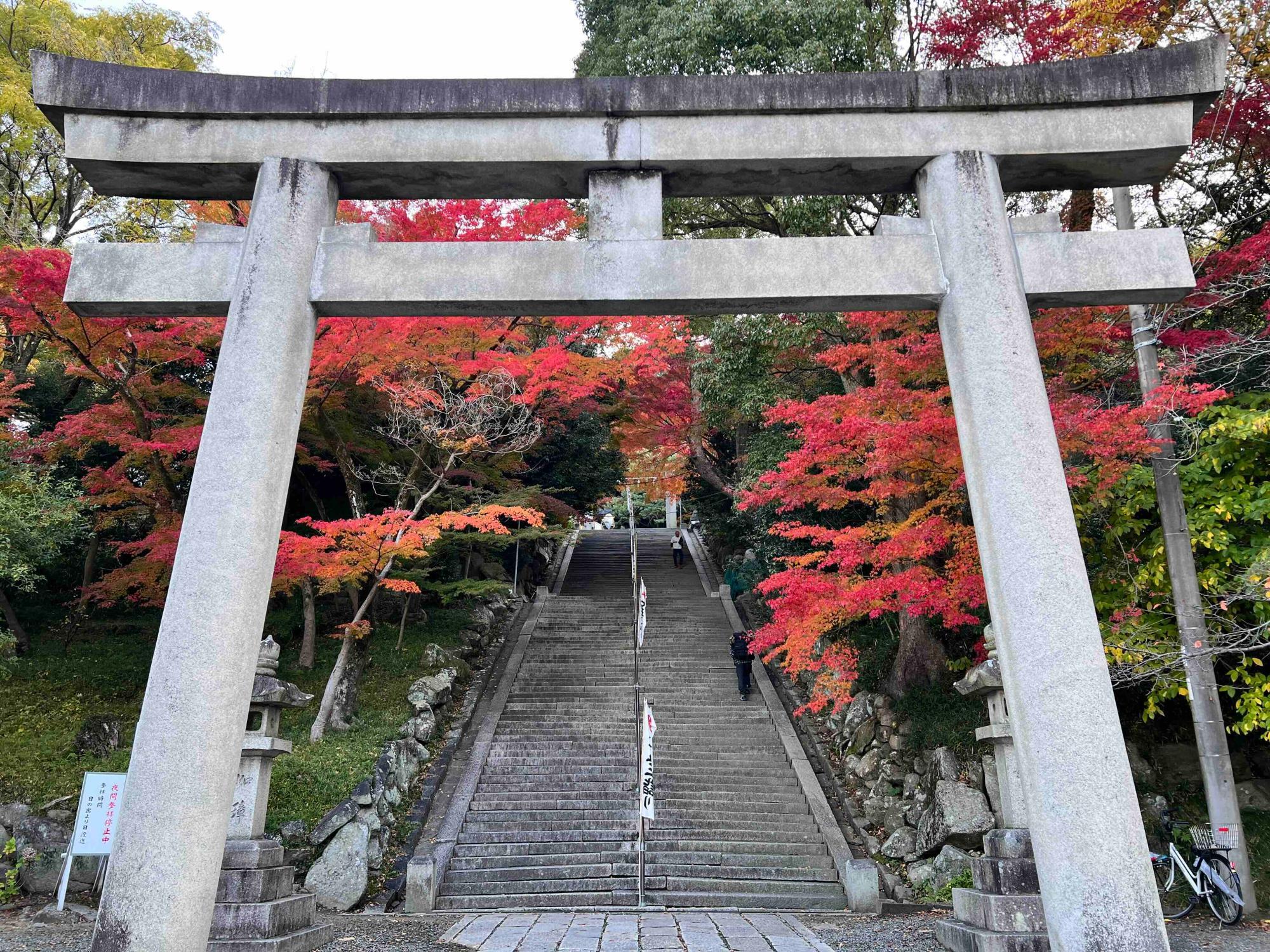 石段前の鳥居。その奥に赤く染まったカエデの木が見えます