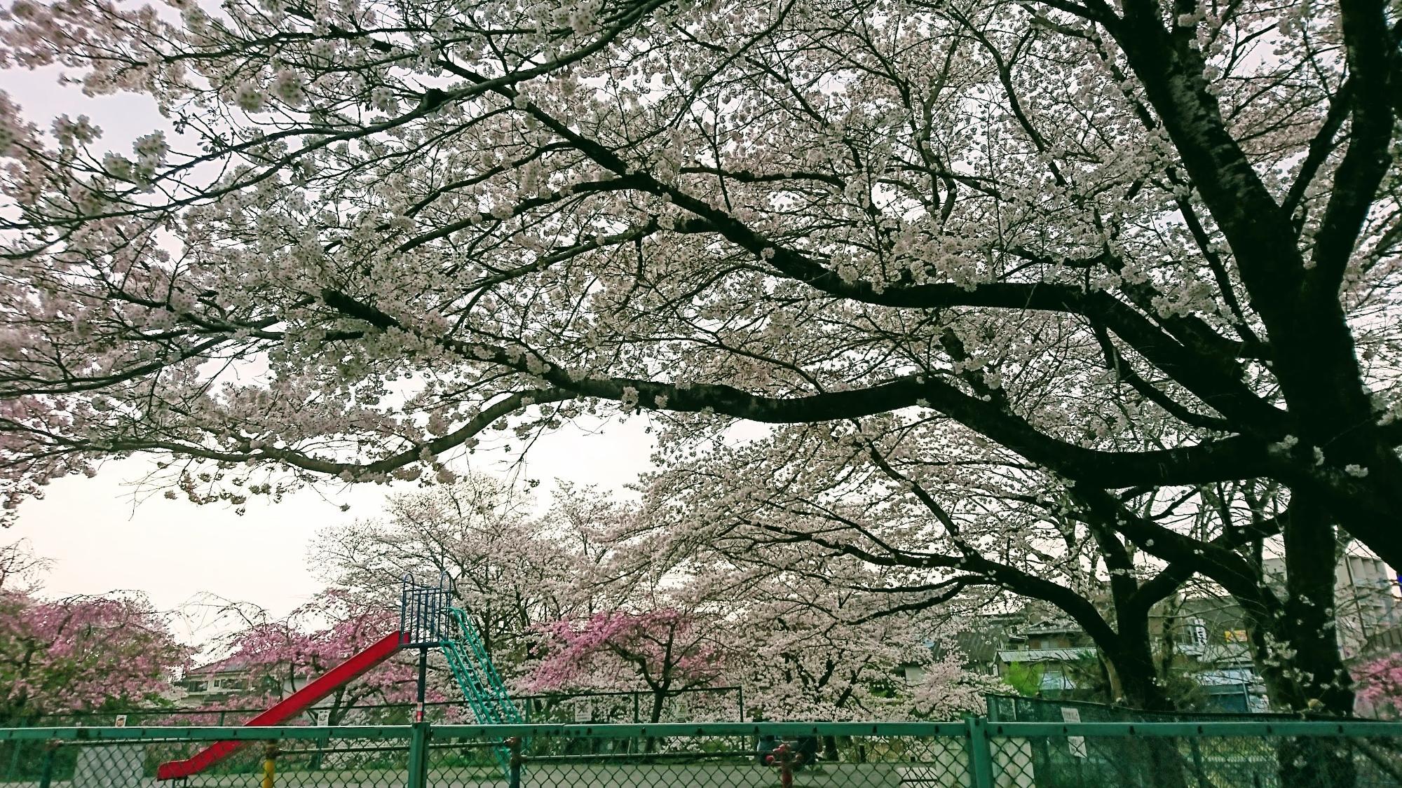 廿里まちの広場