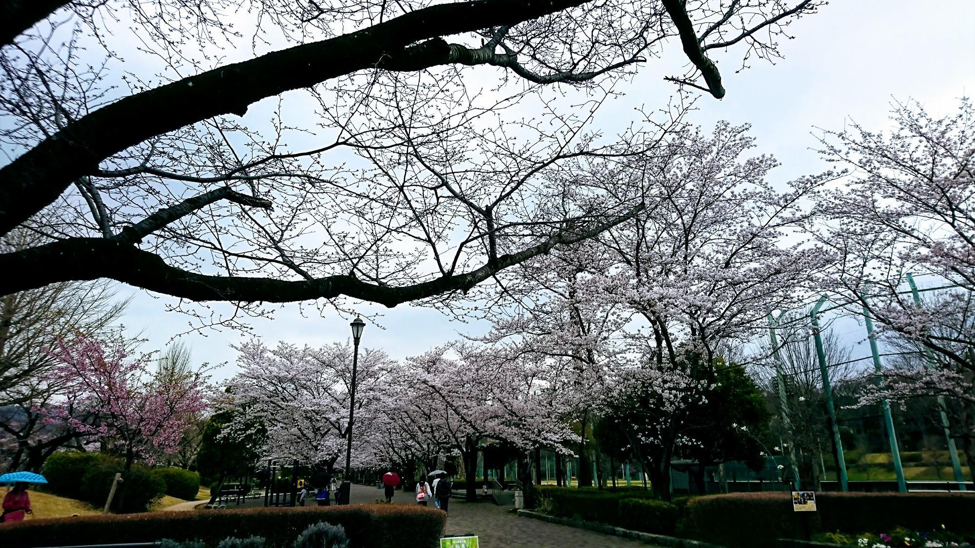 陵南公園