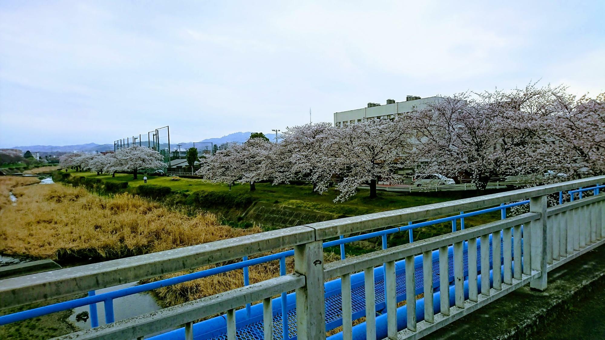 東横山橋