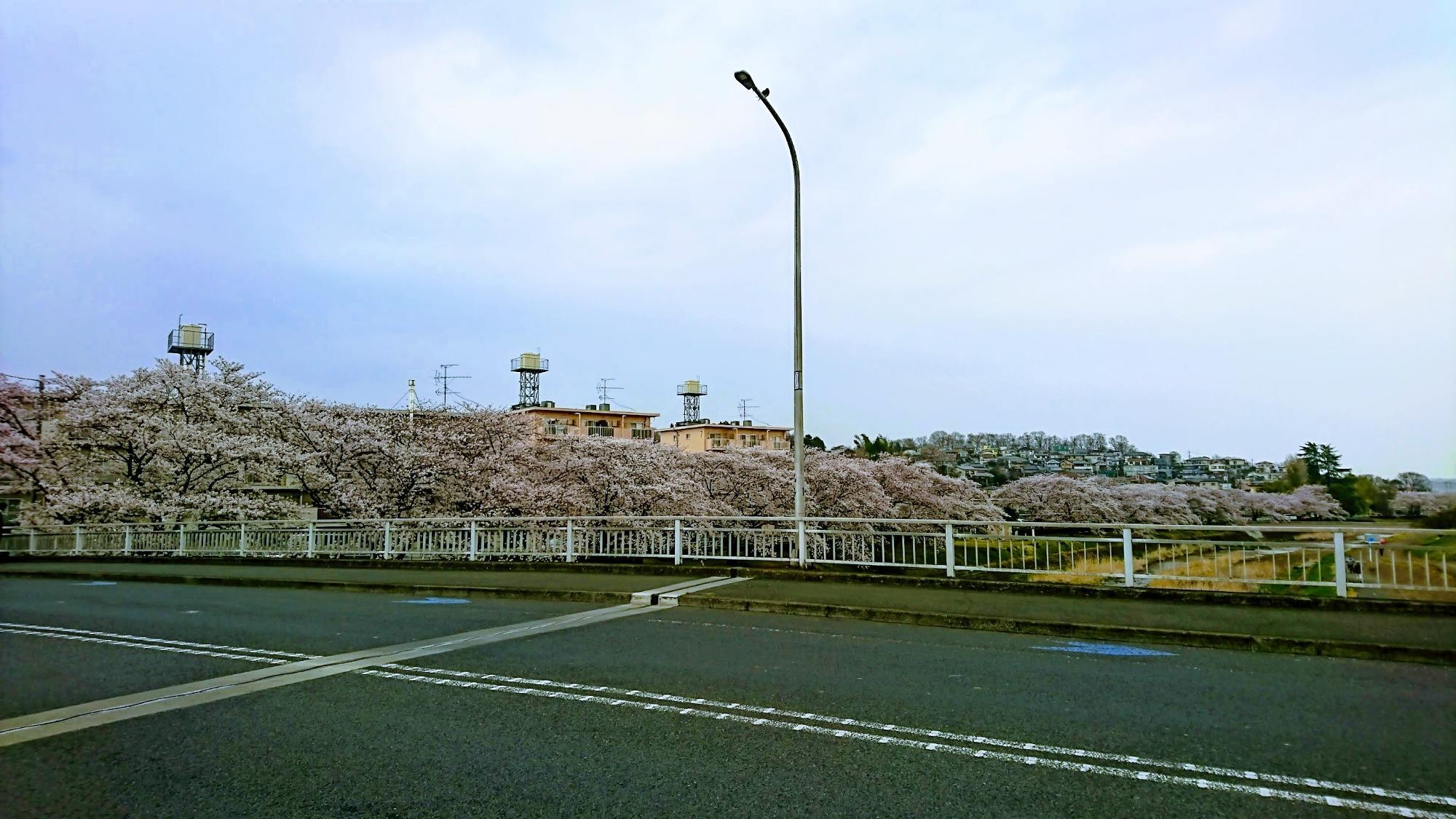 東横山橋