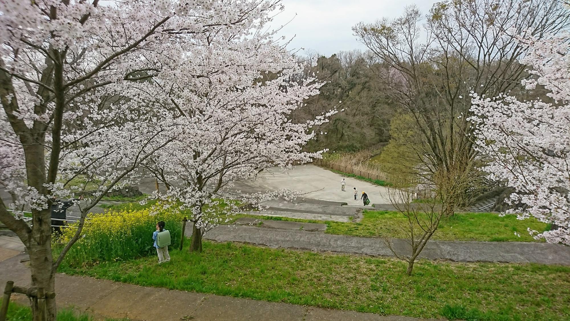 片倉つどいの森公園　つどいの池