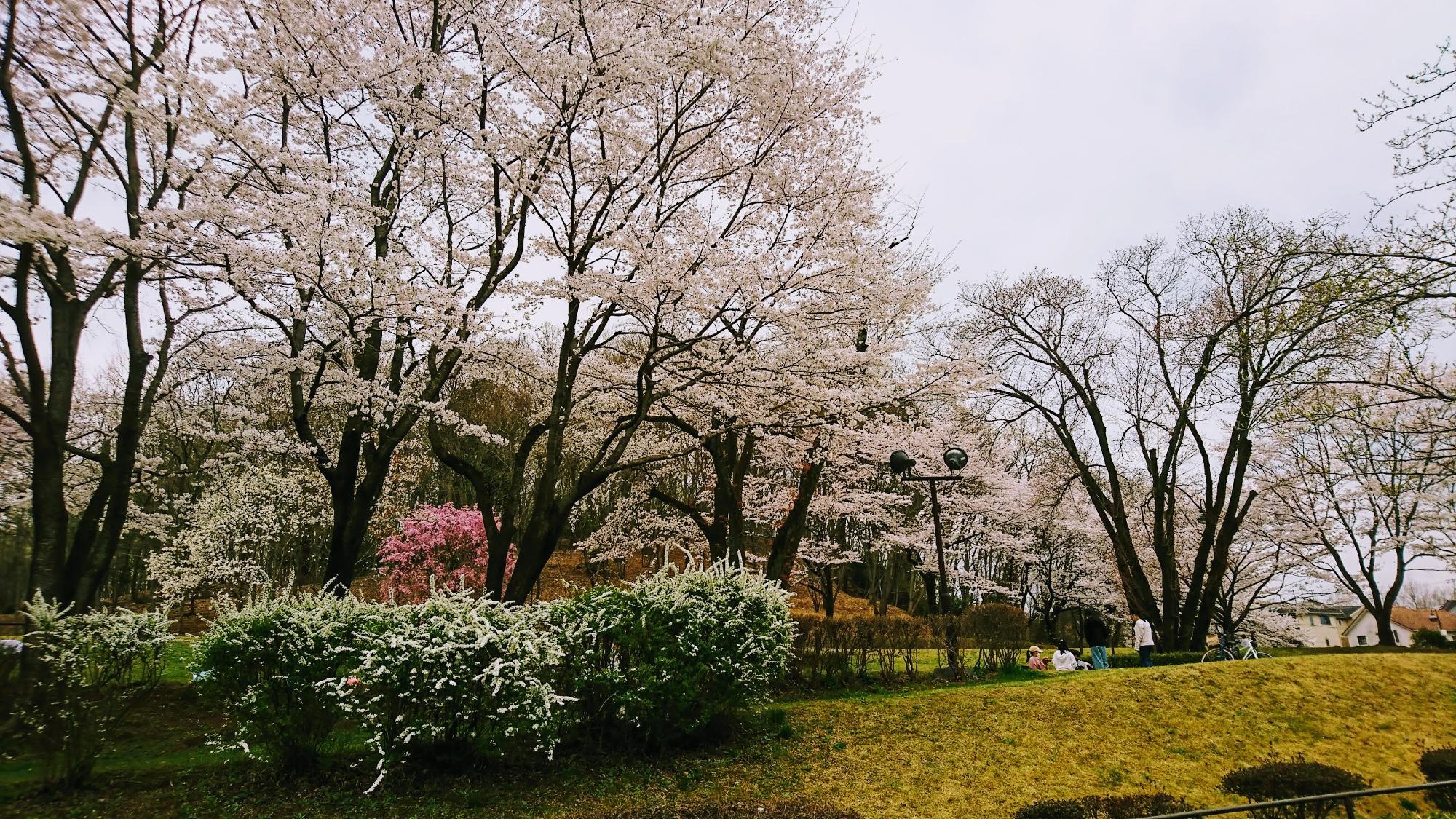 宇津貫公園