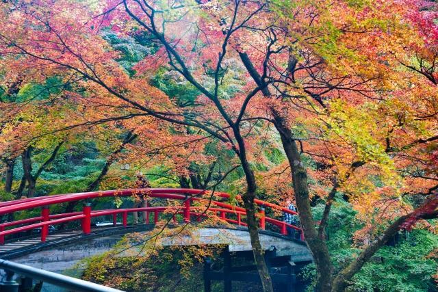 伊香保温泉河鹿橋