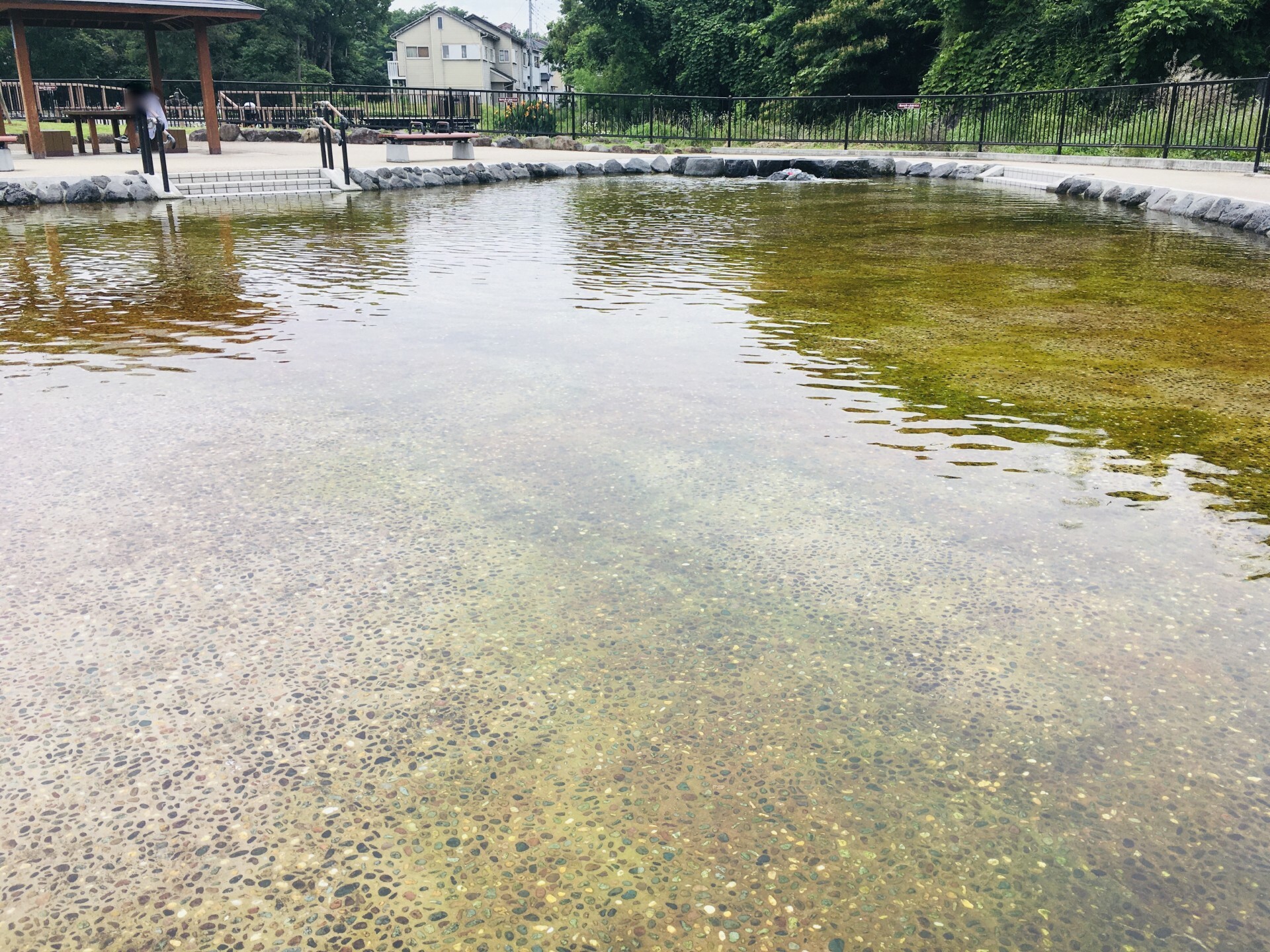 丸池公園の親水池