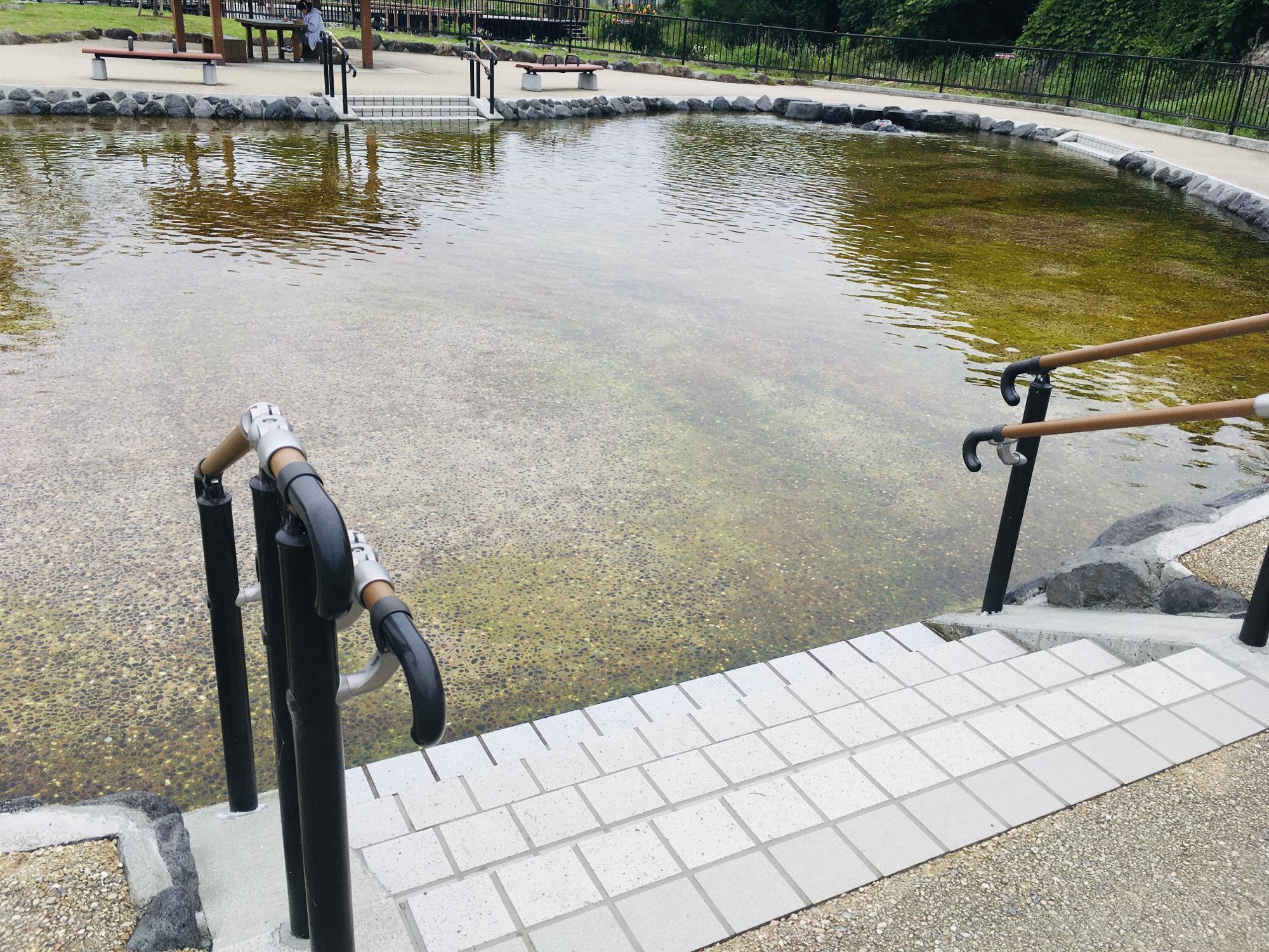 池に入りやすい手すり付きの階段