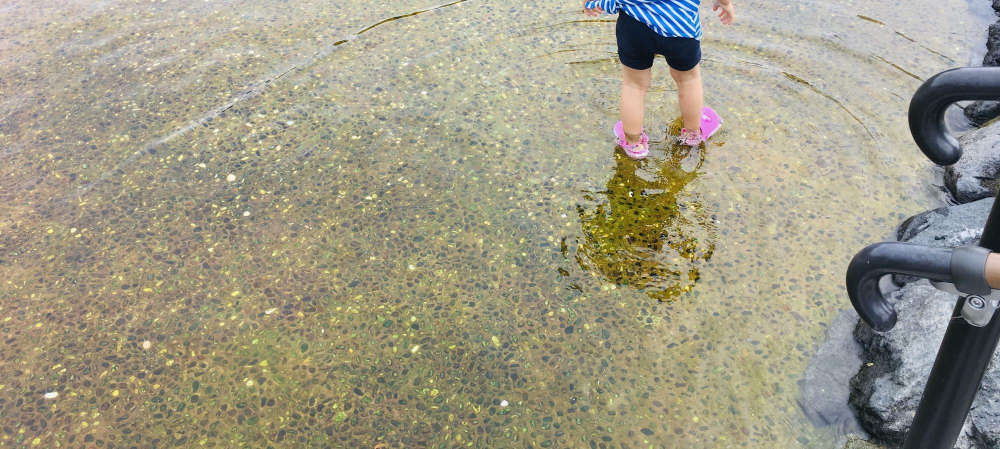 3歳児が池に入っても深さは足首丈ほど