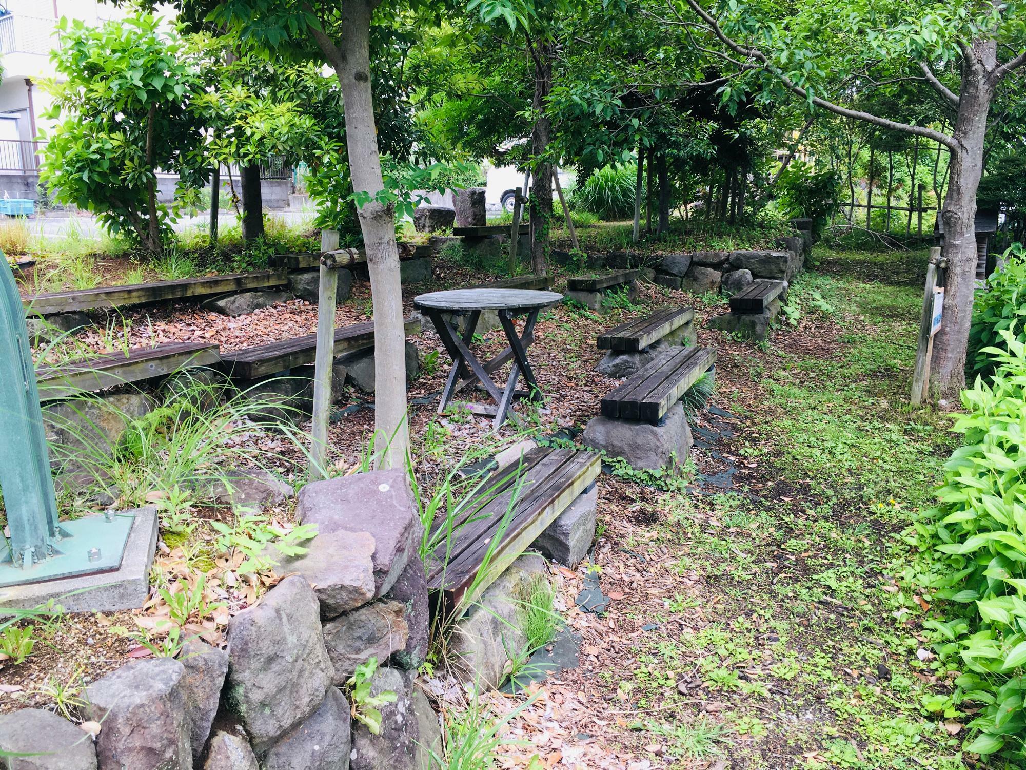 緑の水の杜のベンチが設置されているエリア