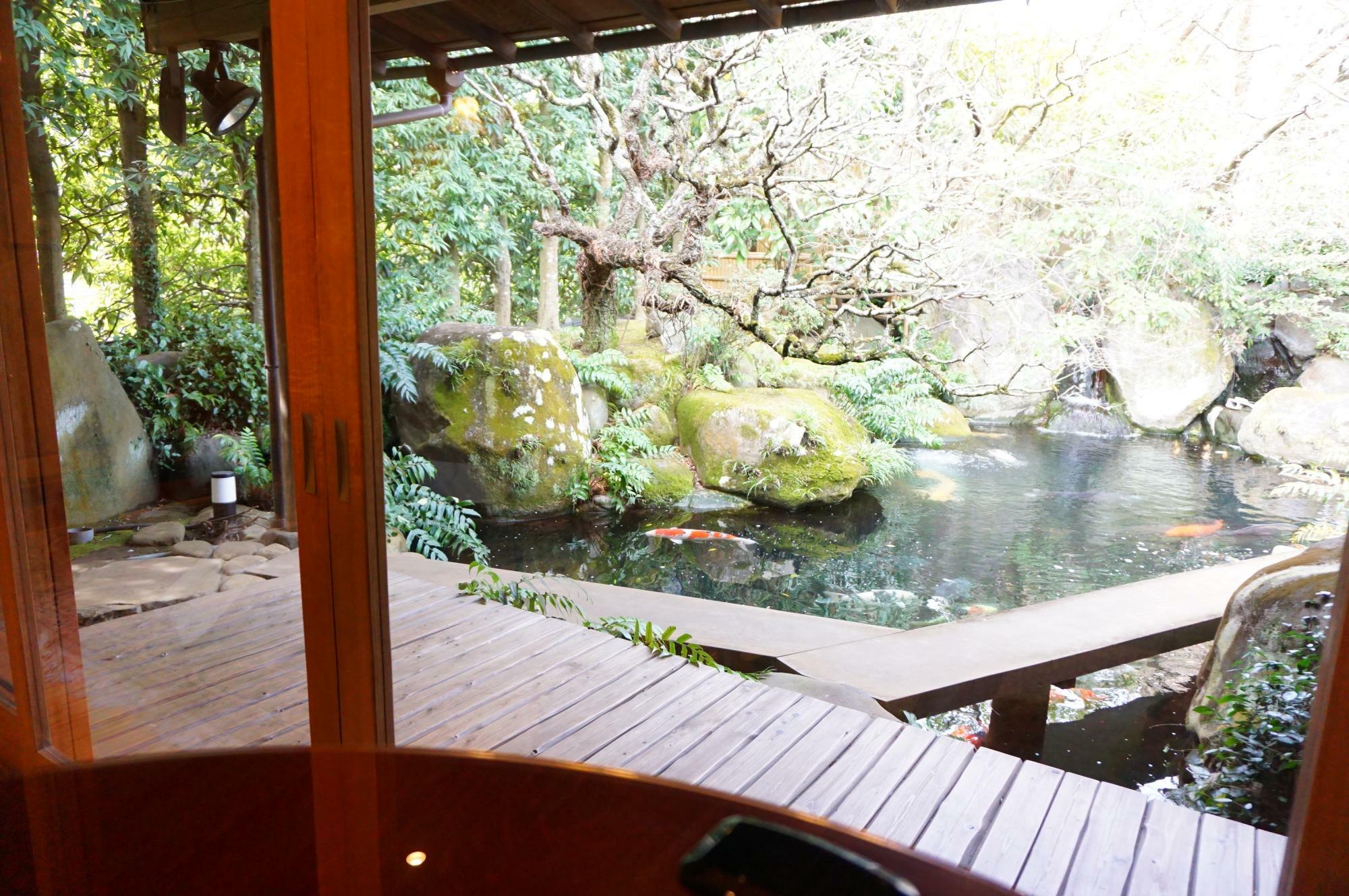 窓側の席から見える池の景色