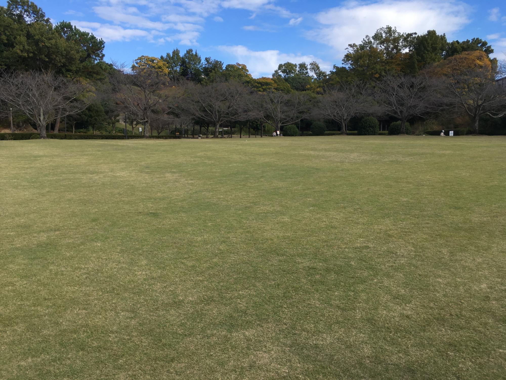 芝生の多目的広場