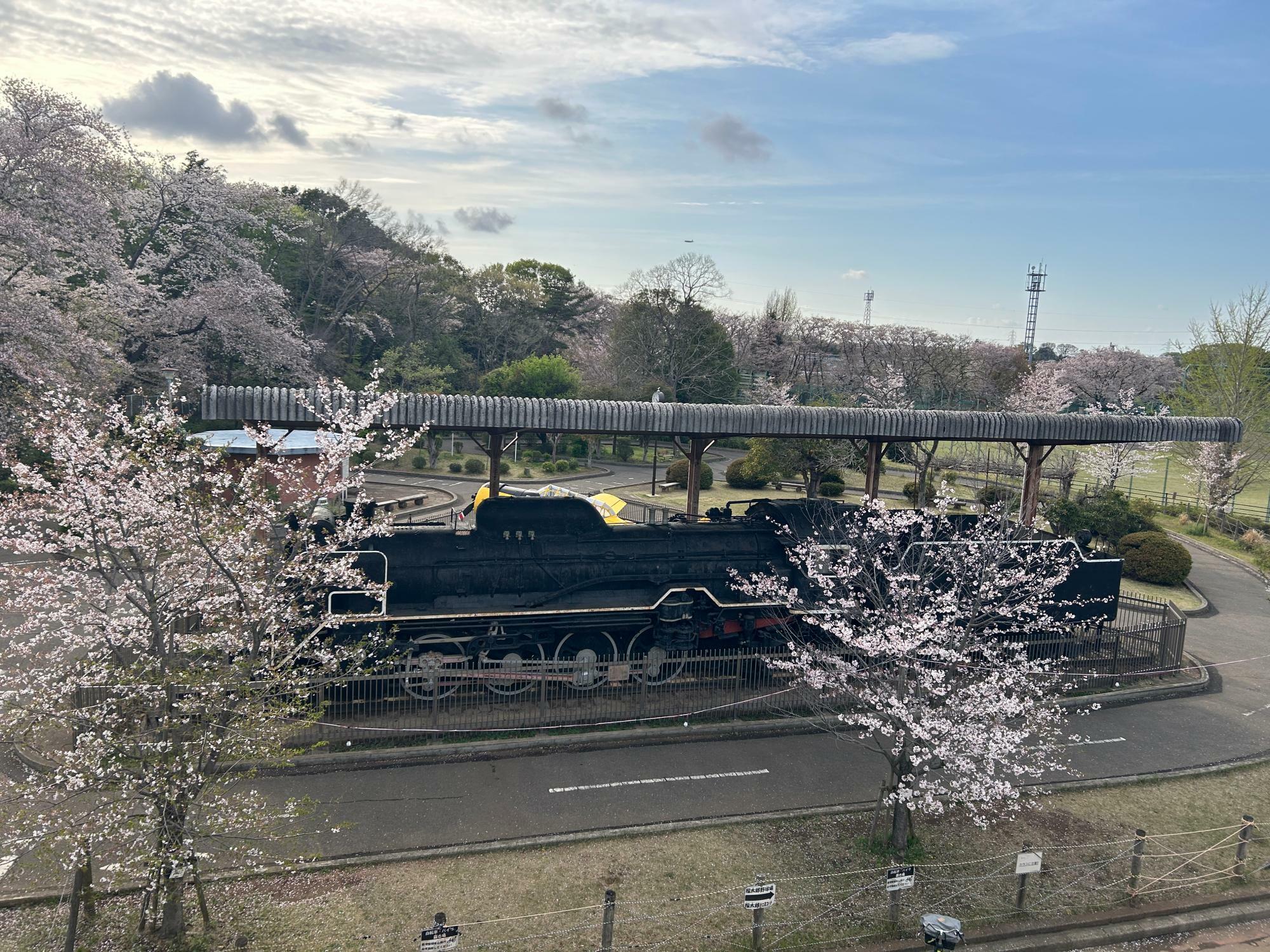 （2024年4月12日撮影）