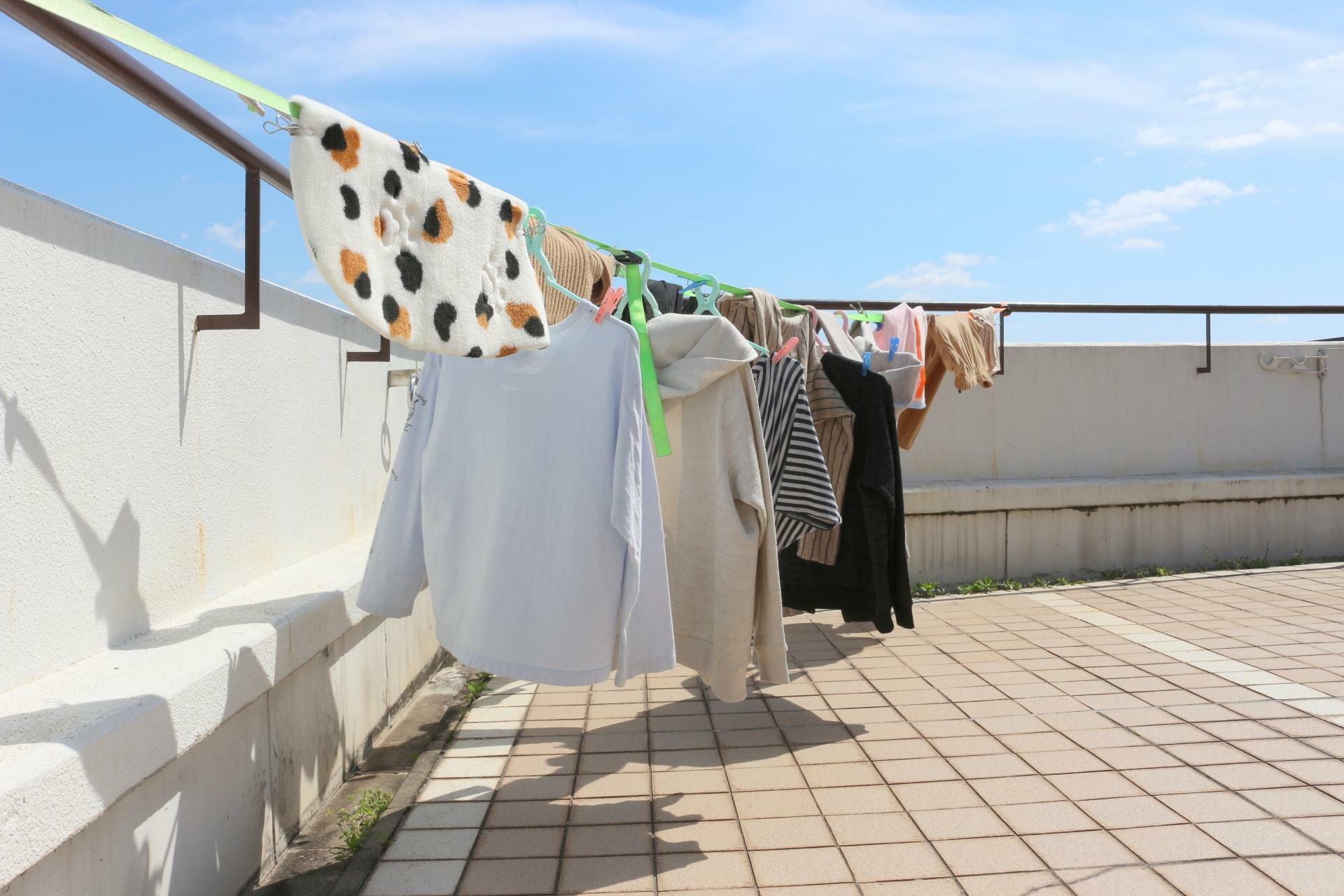 太陽の下に干した洗濯物