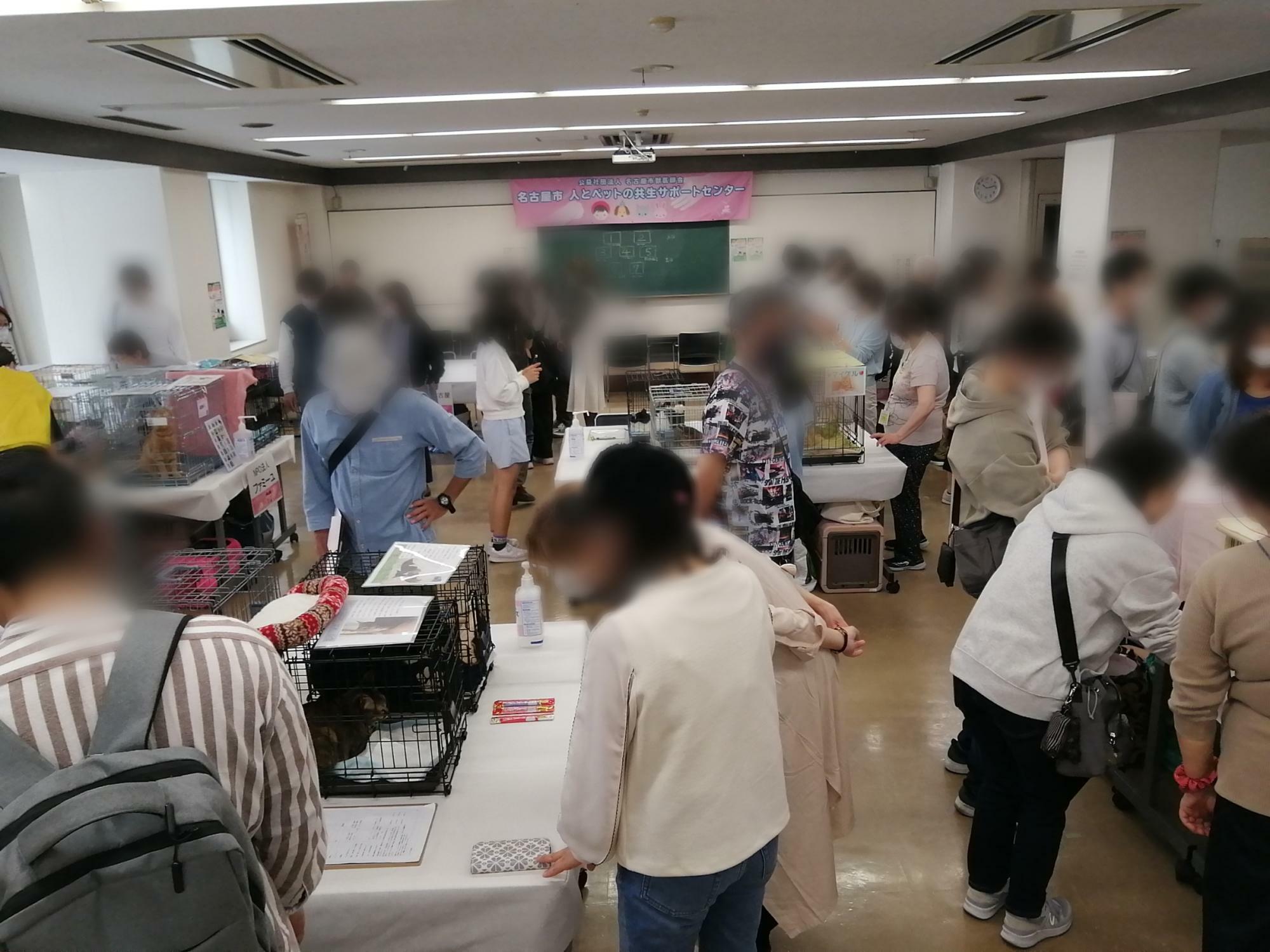 名古屋市獣医師会館での譲渡会の様子