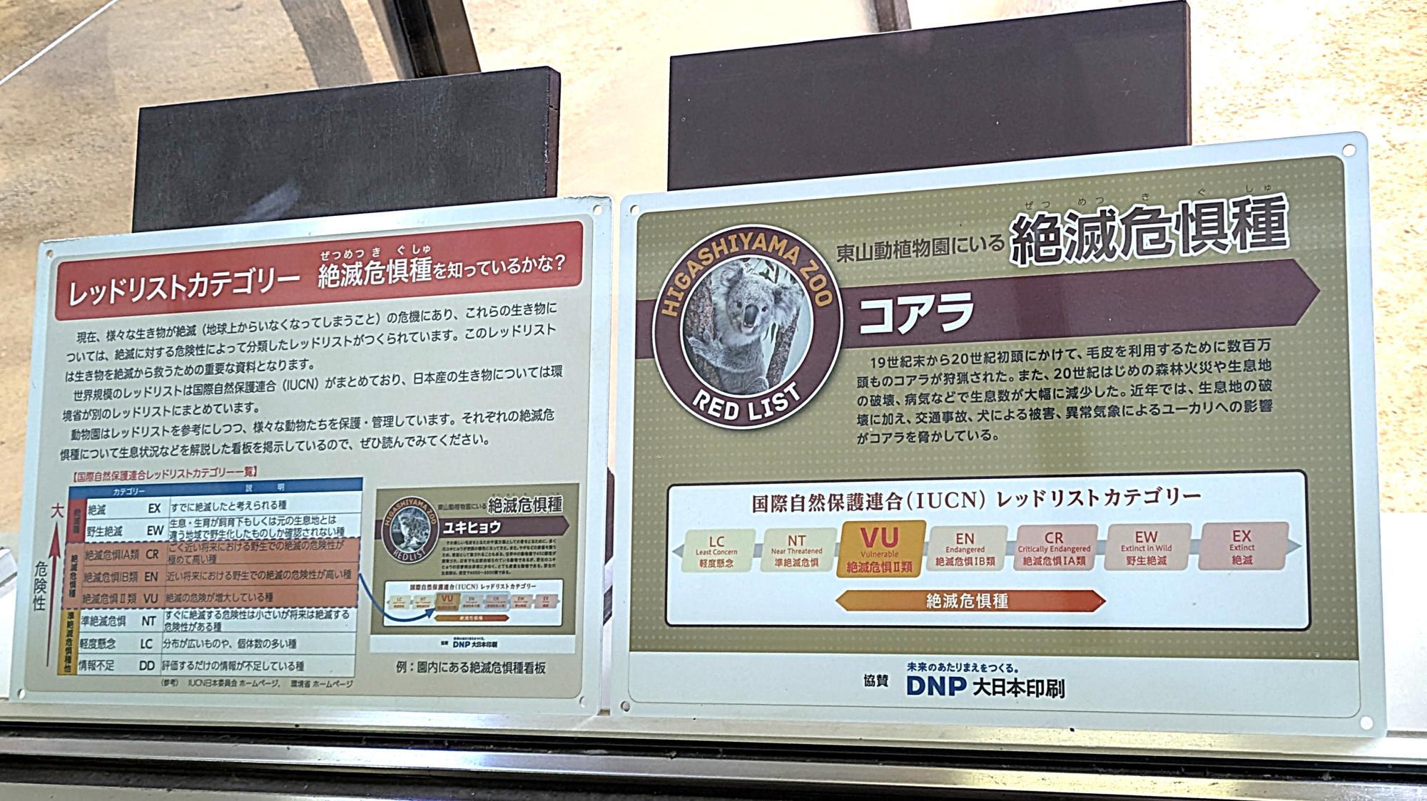 名古屋市千種区】東山動植物園の新種発見や絶滅危惧種を守る活動