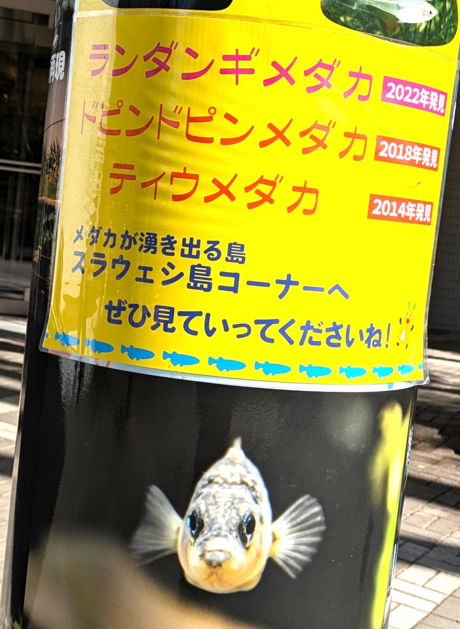 名古屋市千種区】東山動植物園の新種発見や絶滅危惧種を守る活動