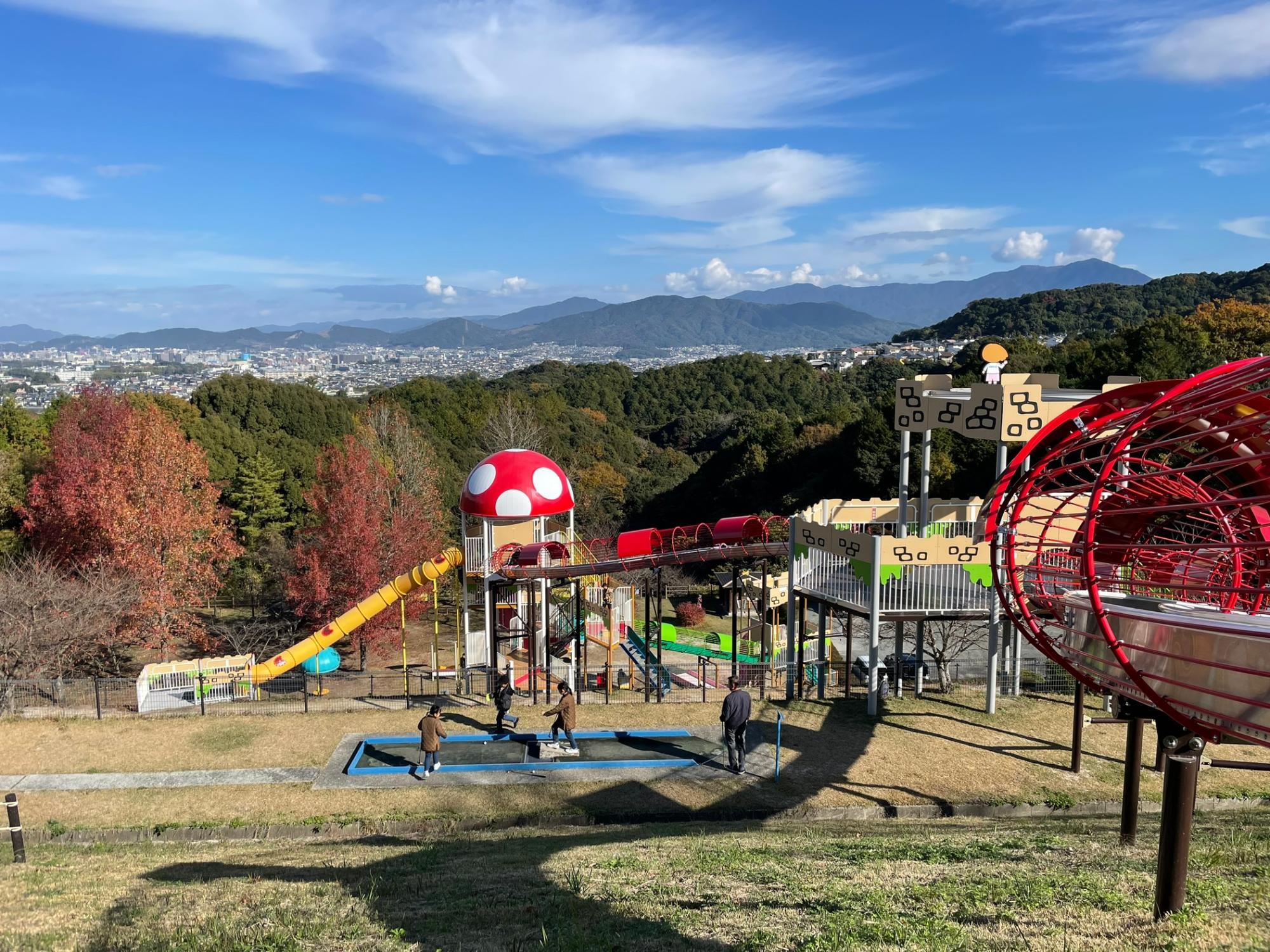 いこいの森中央公園