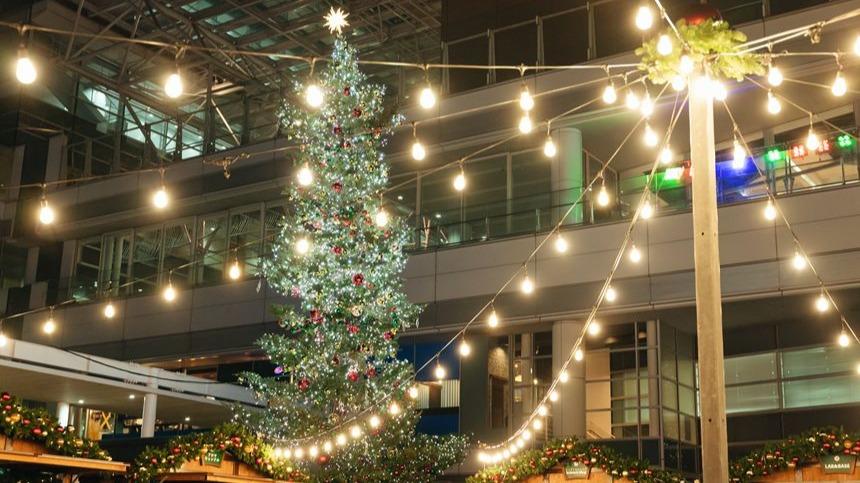 青と銀のクリスマスツリー 本物のモミの木に近い質感 沢山の装飾に