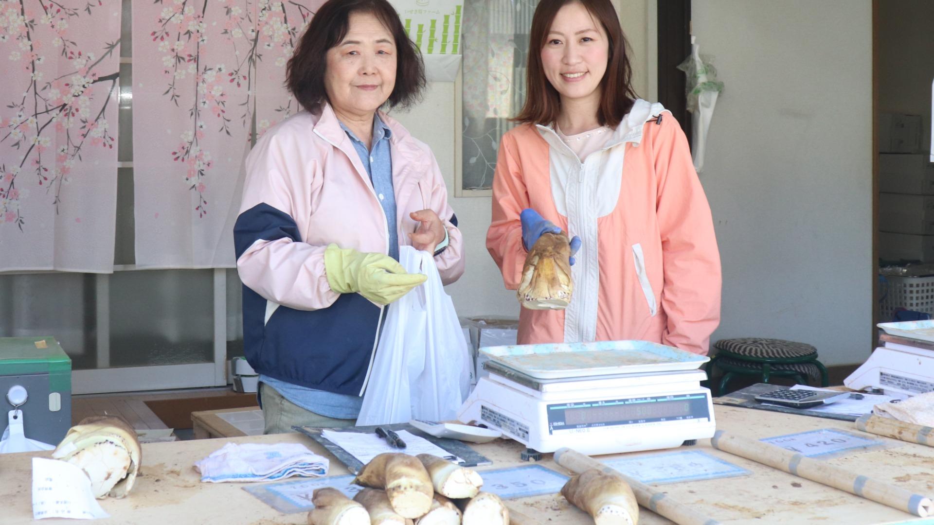 長岡京市】糖度が9度もある甘くておいしい人気のたけのこ。毎年 長岡京市】糖度が9度もある甘くておいしい人気のたけのこ。毎年