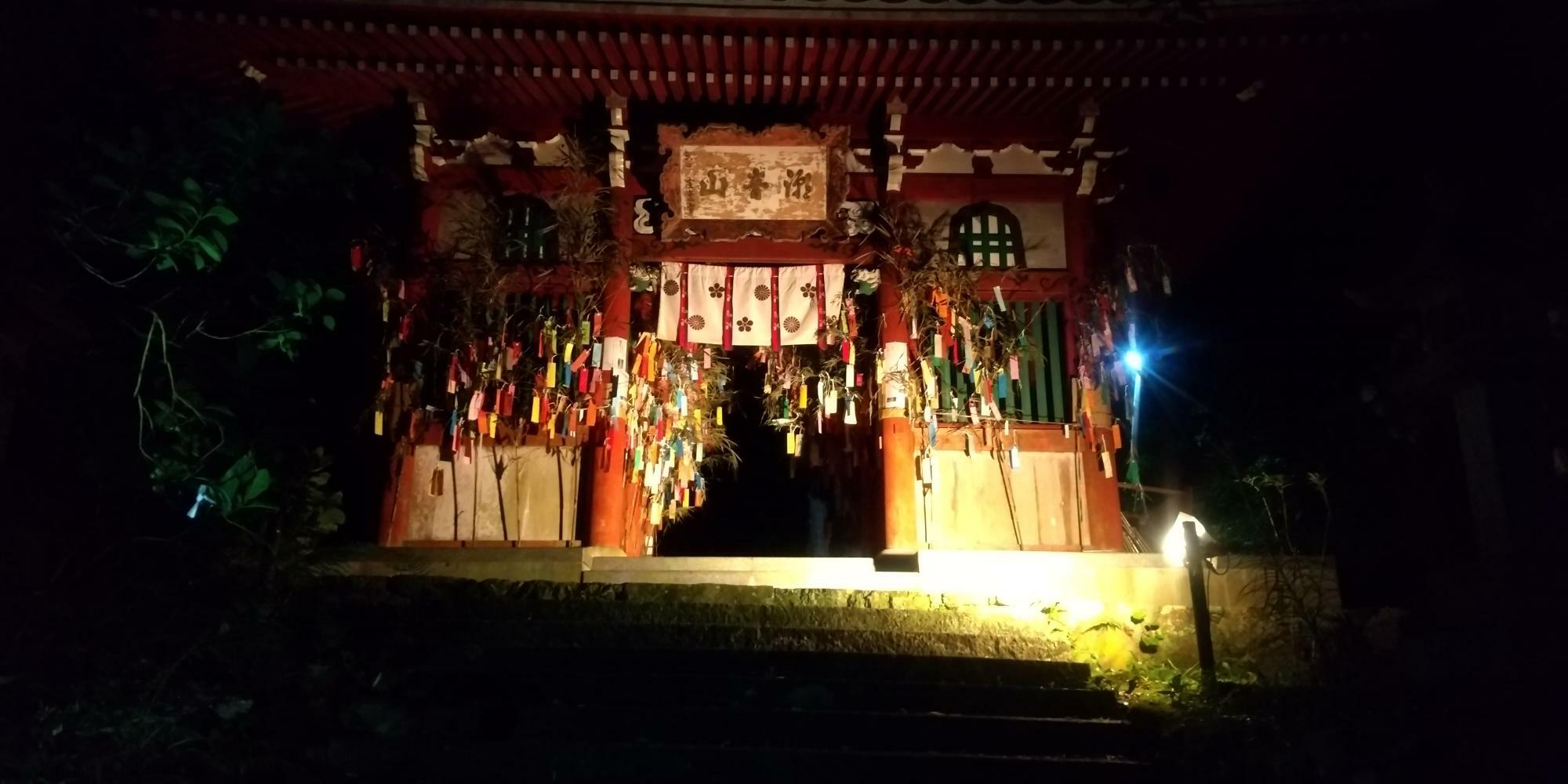 　ライトアップ（昨年）　太江寺提供
