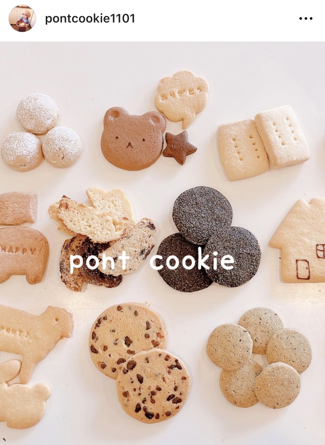 pont cookieさんInstagramより引用