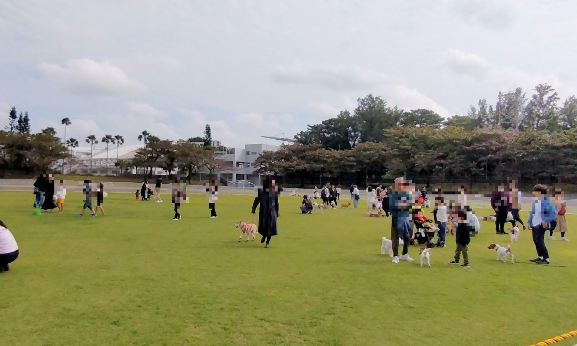 こちらは3月に開催された「奥武山ワンダフルフェス2024」ドッグランの様子：奥武山陸上競技場