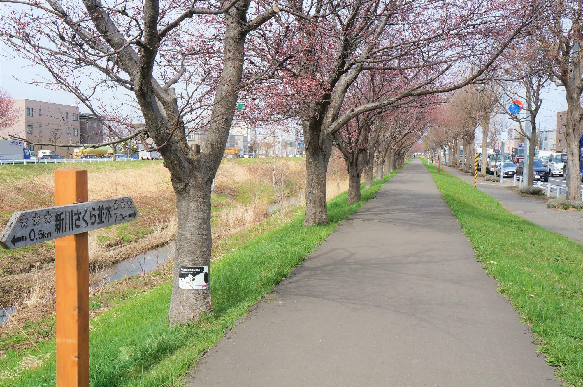 ※2023年4月14日撮影