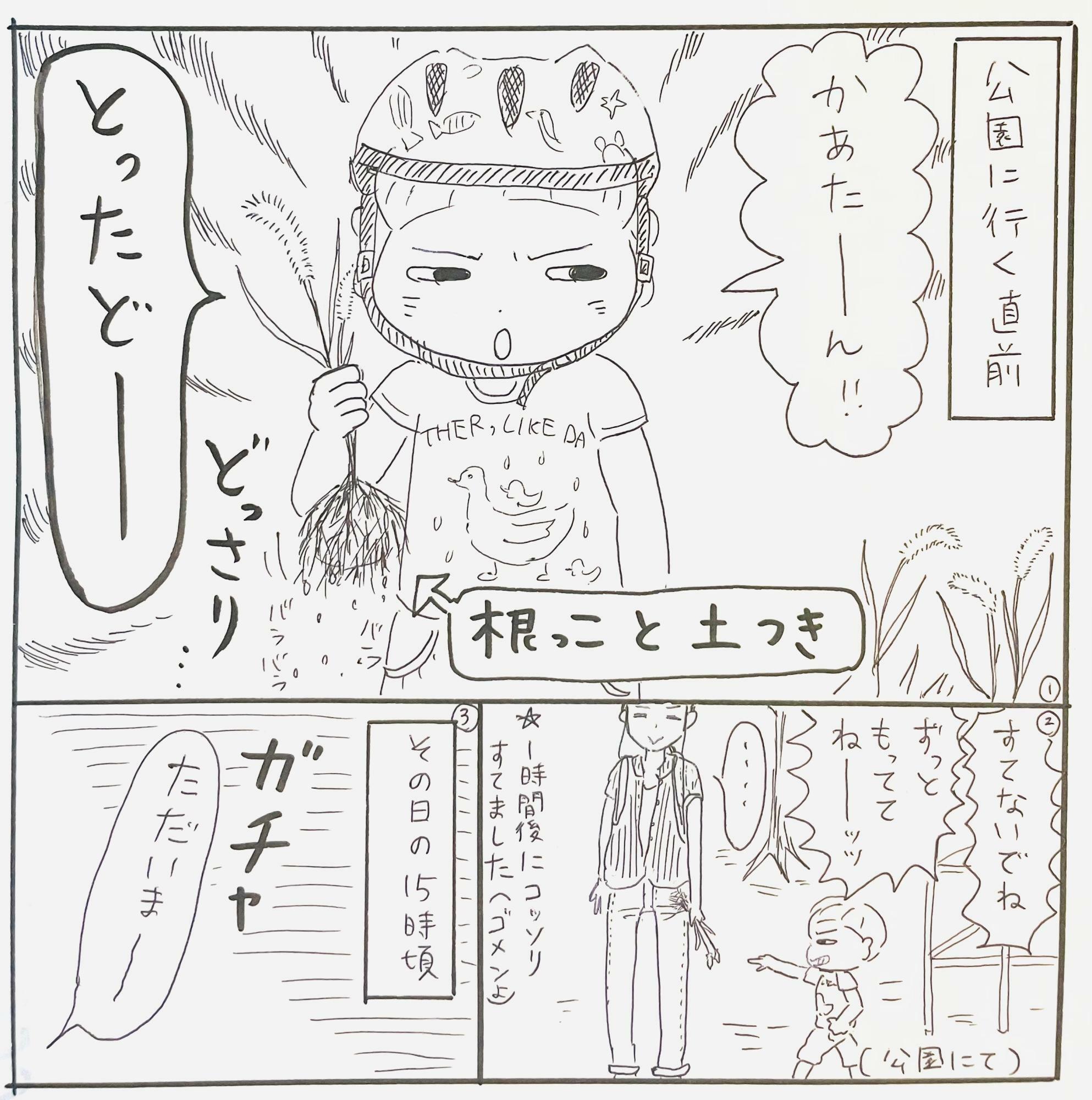 【漫画 兄弟が生んだ奇跡に驚き】3歳の弟と心が通じ合ってる？笑顔で帰宅した小1兄が手に持っていた物（はる華） エキスパート Yahoo