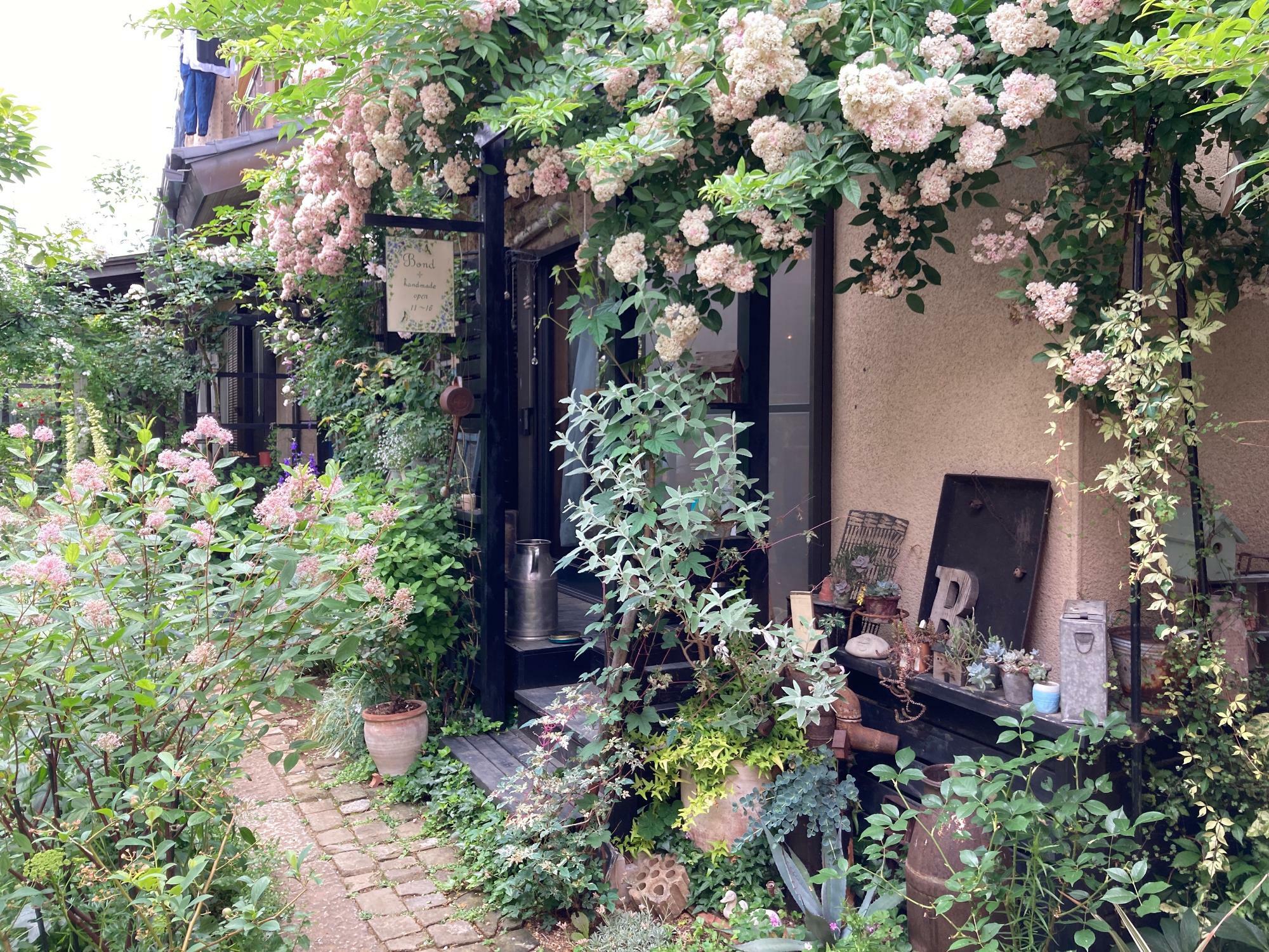 植物に囲まれた店内入り口にうっとり。