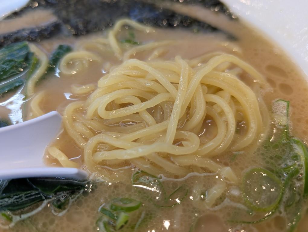 麺のアップ画像