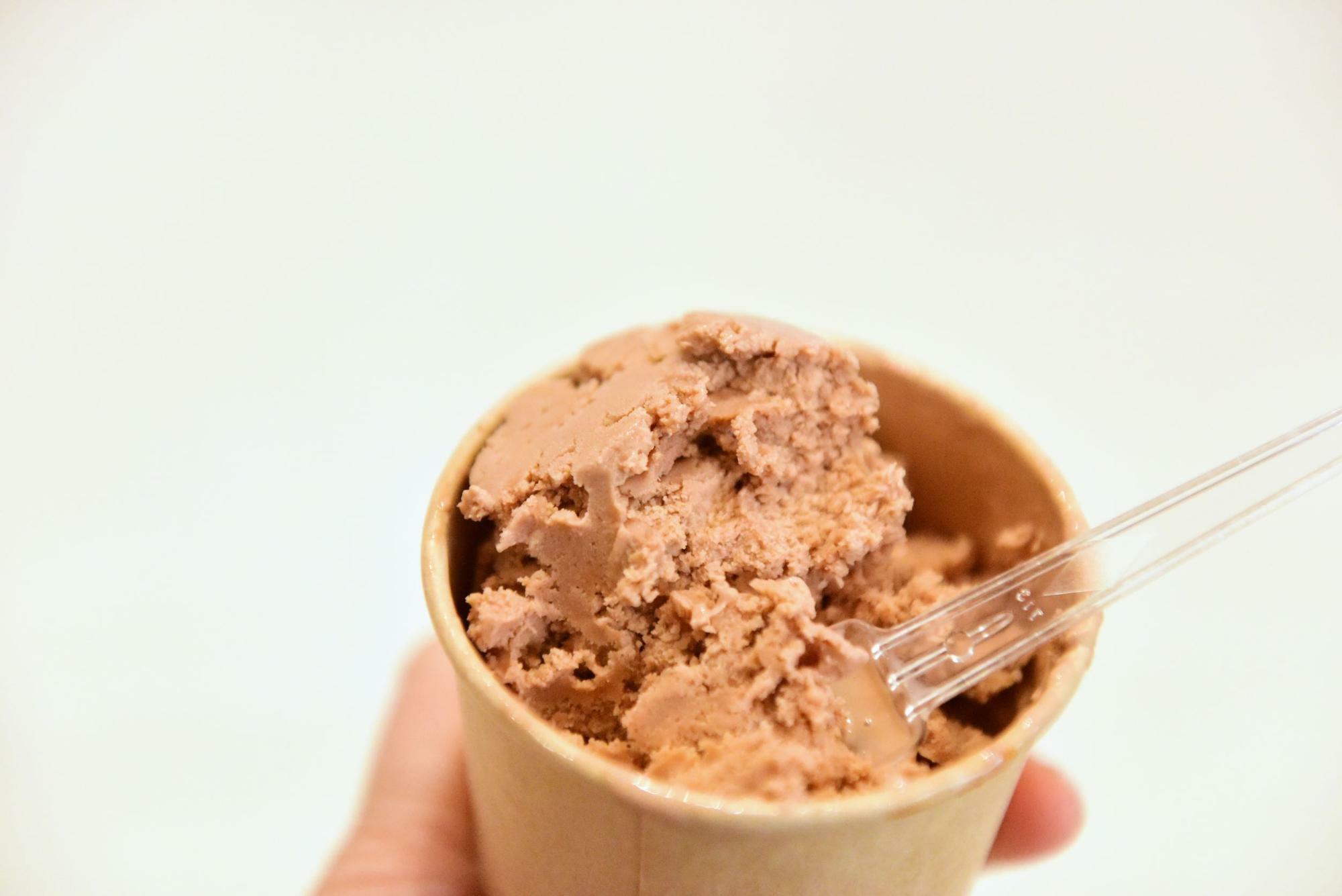 リッチなチョコレートアイス