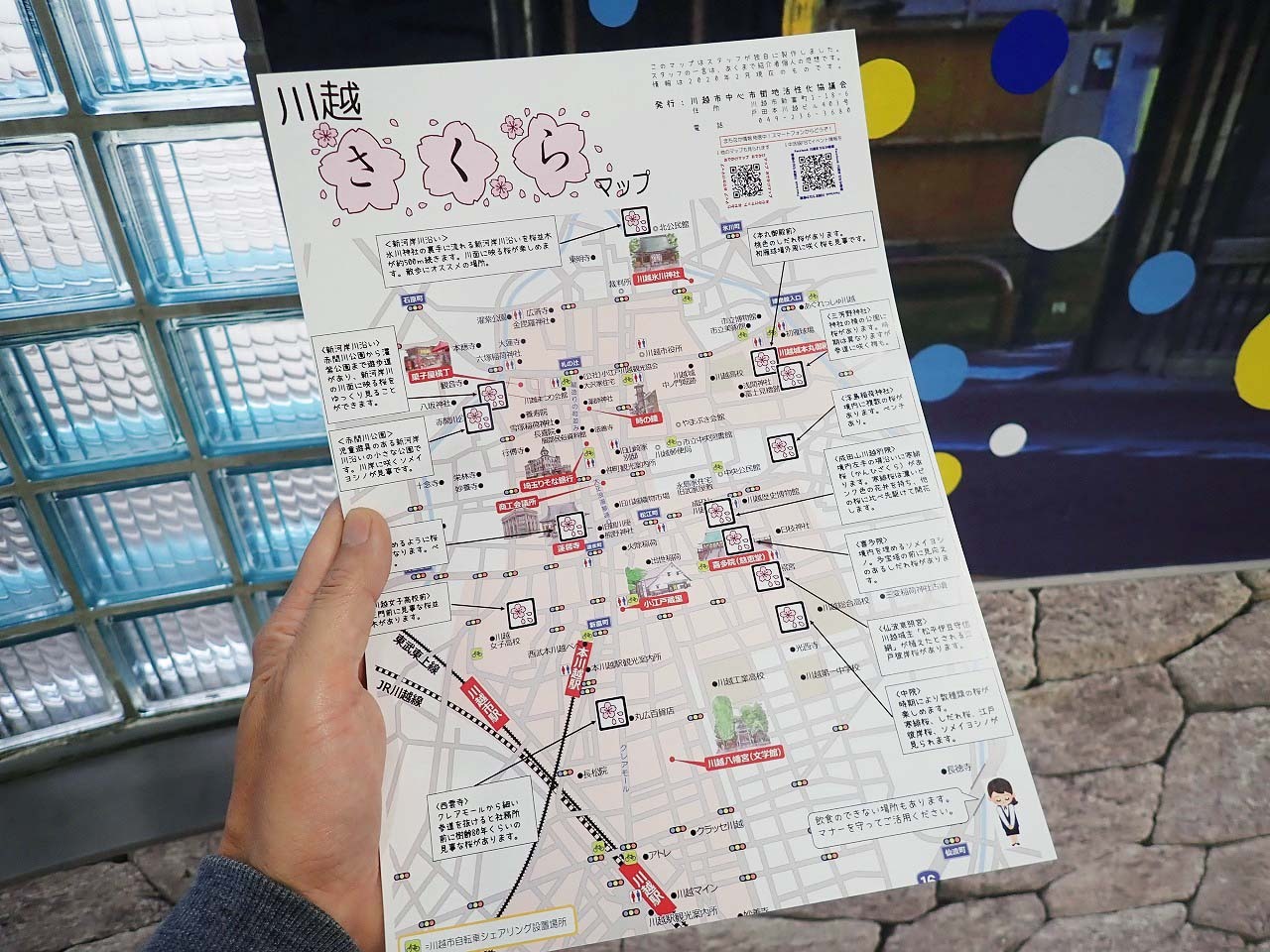 2022年3月21日に川越駅の観光案内所で入手した「川越さくらマップ」