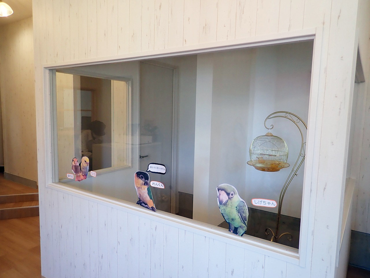 店内にはすでに鳥たちと触れ合えるスペースが設置されています