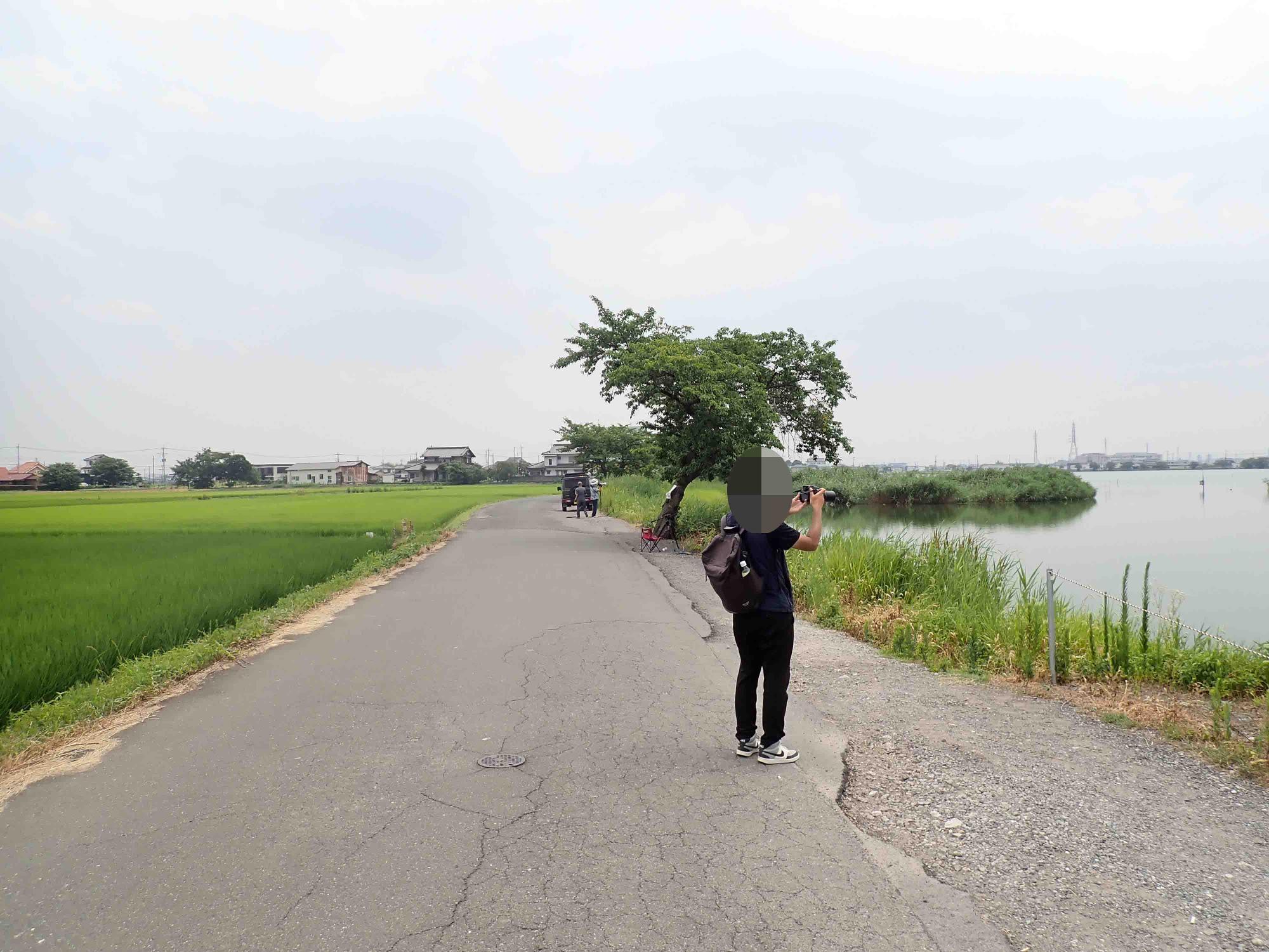 川越市】蓮は以前も壊滅の危機が? 写真家は何を狙っている 川越市】蓮は以前も壊滅の危機が? 写真家は何を狙っている