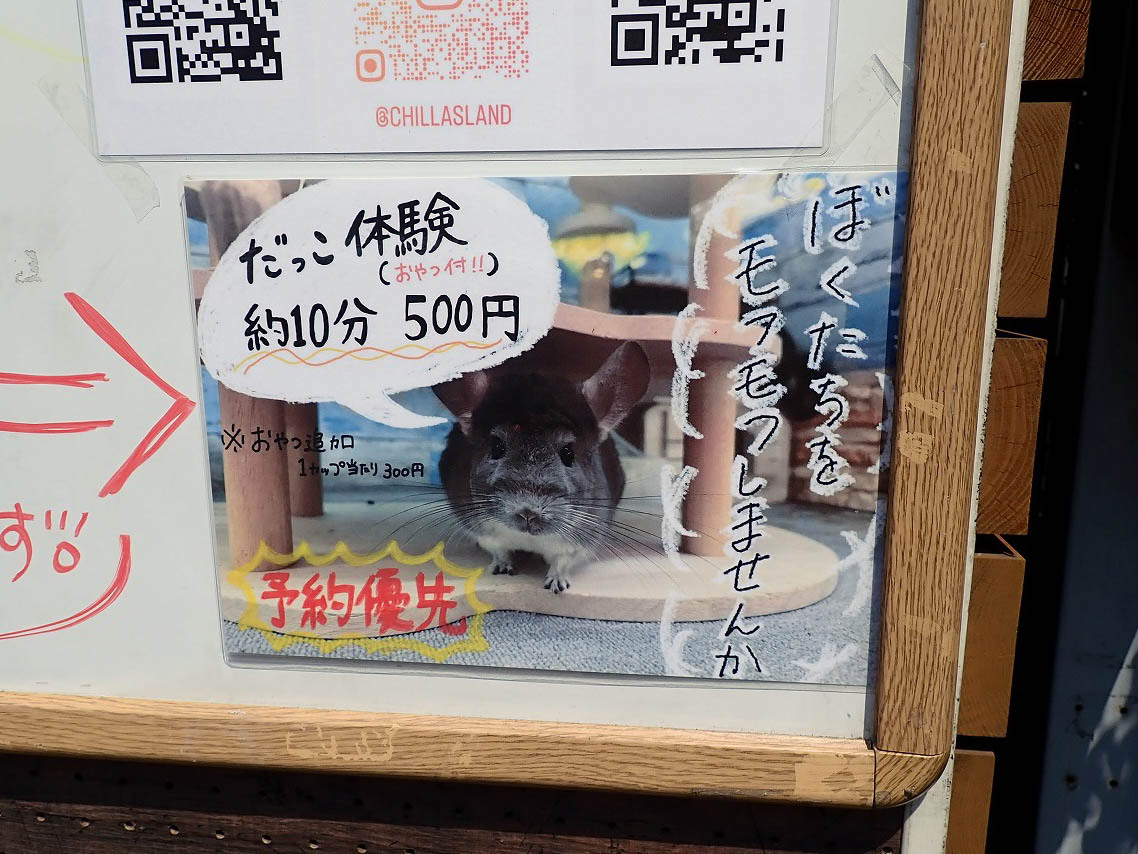 はい、モフモフしたいですっ!