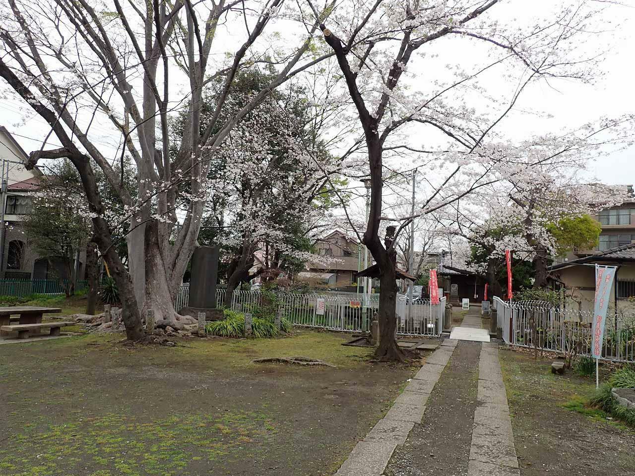 こちらは2024年4月5日に撮影しました。浮島稲荷神社と浮島公園は通路でつながっています