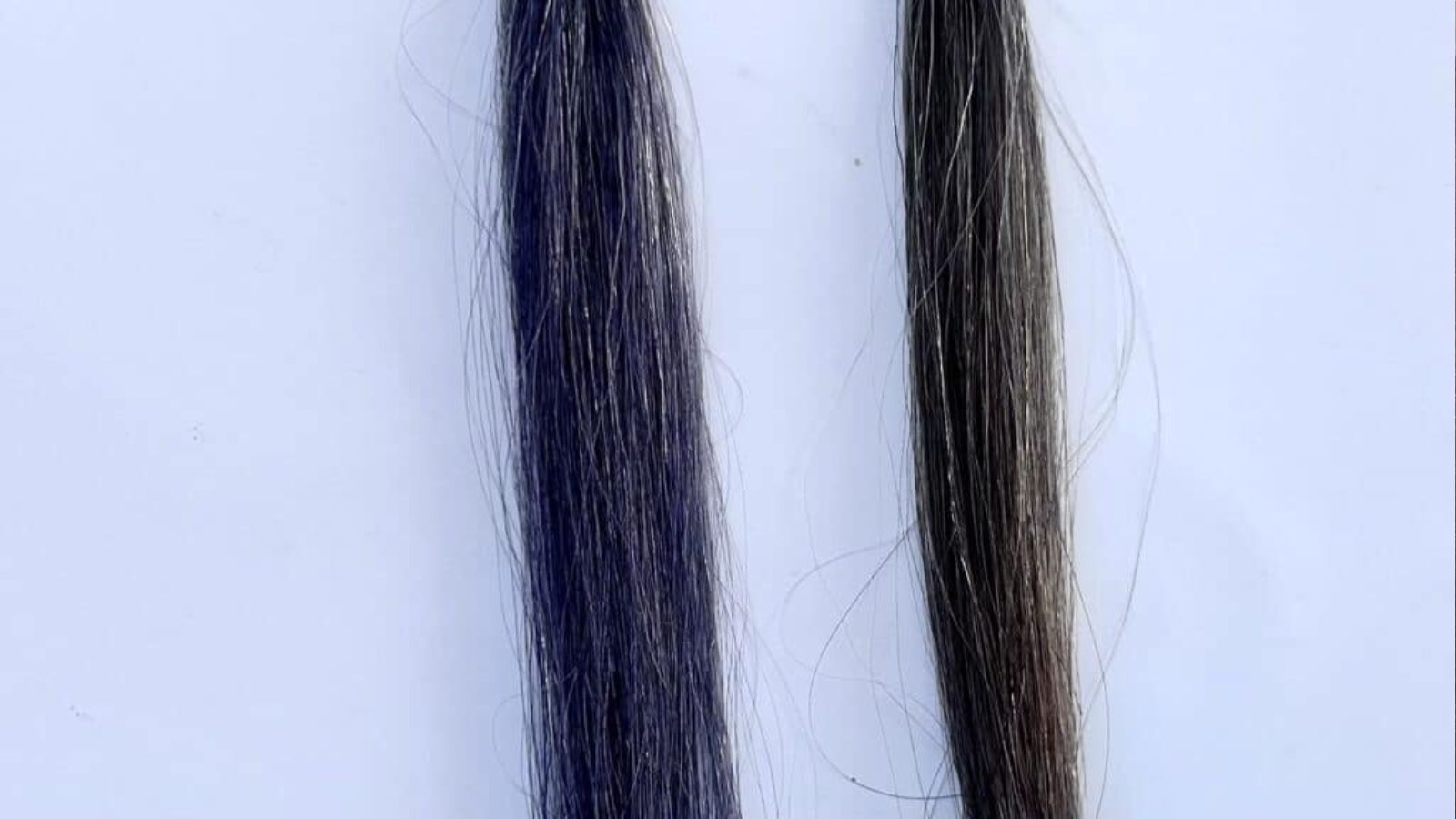 エールボーテヘアカラームースの口コミは?検証結果をレビューし エールボーテヘアカラームースの口コミは?検証結果をレビューし