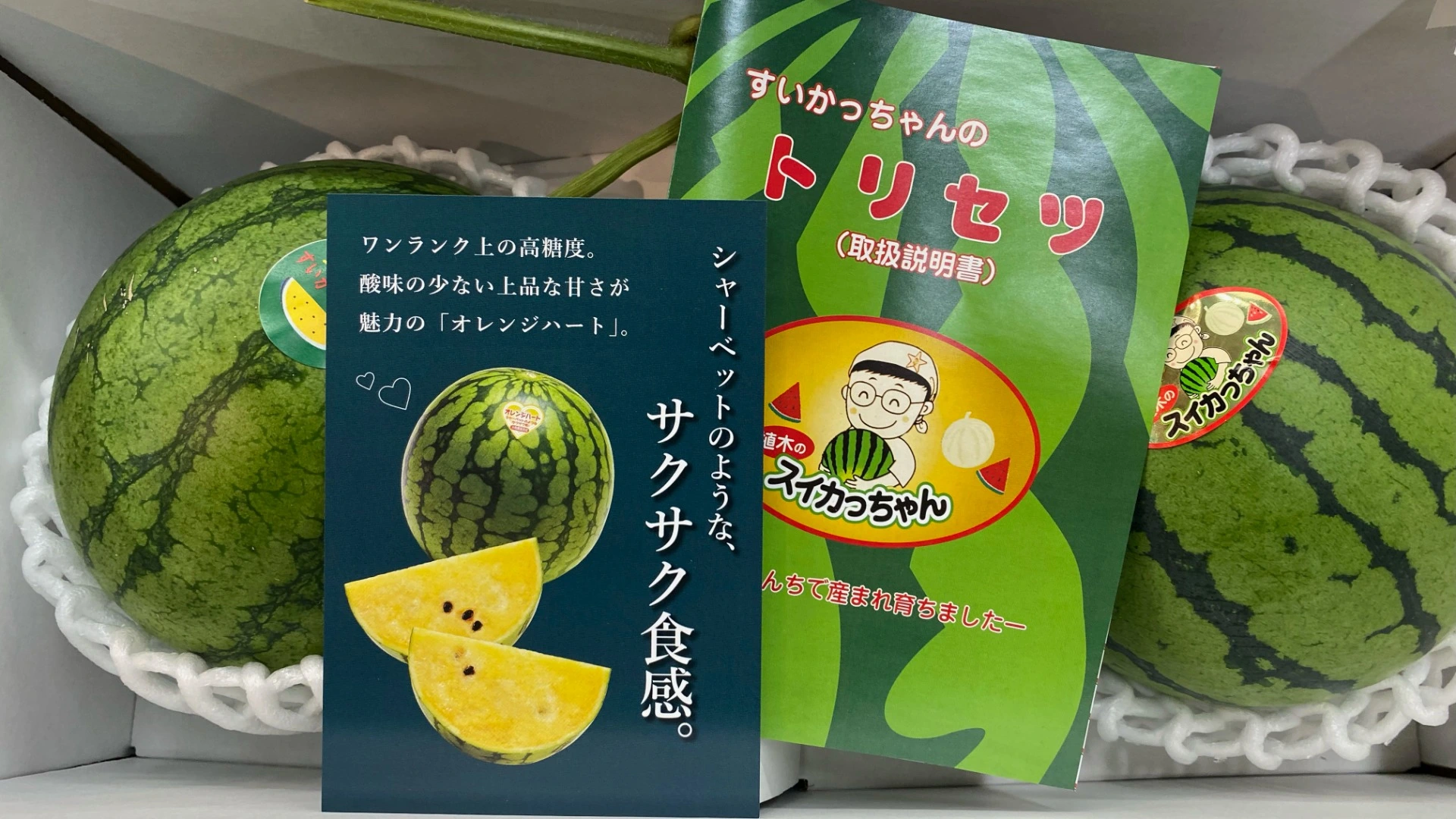 熊本市】秋すいか！メロンや巨大柑橘！あの人に食べてもらいたい果物